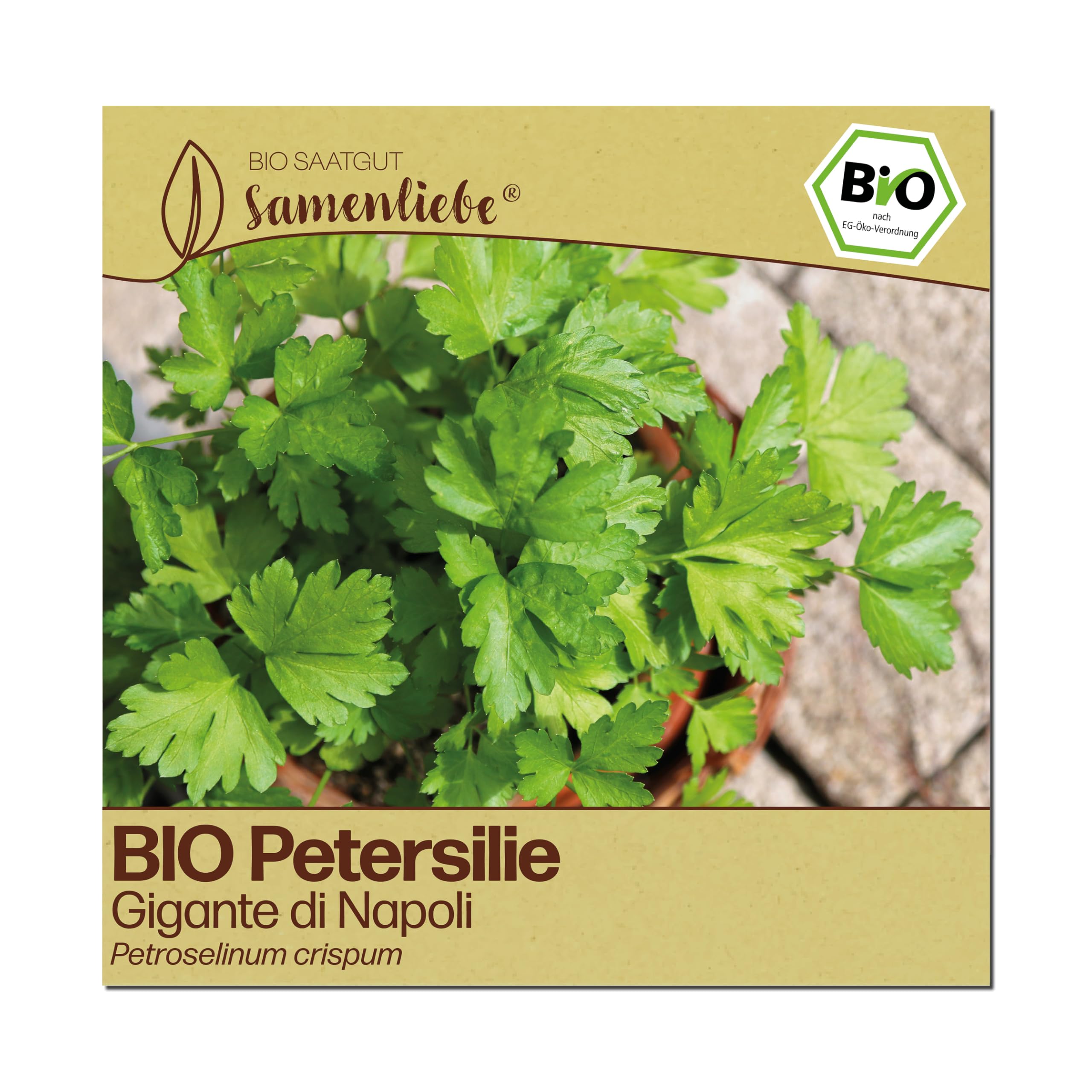 Samenliebe BIO Petersilie Samen | Gigante di Napoli - winterhart & großblättrig - samenfestes BIO Saatgut