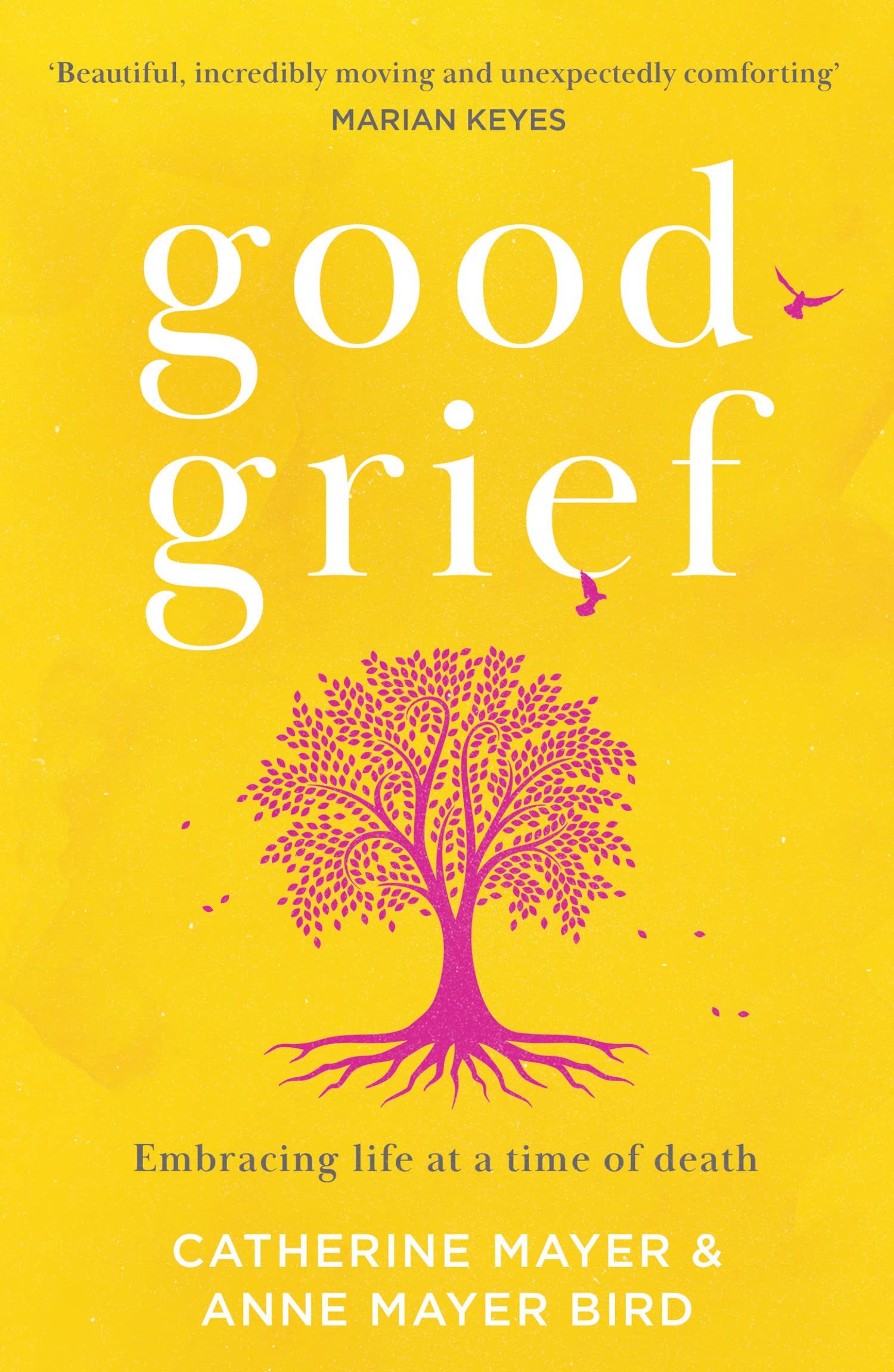Good Grief: A self-help guide to recovery after death, and memoi