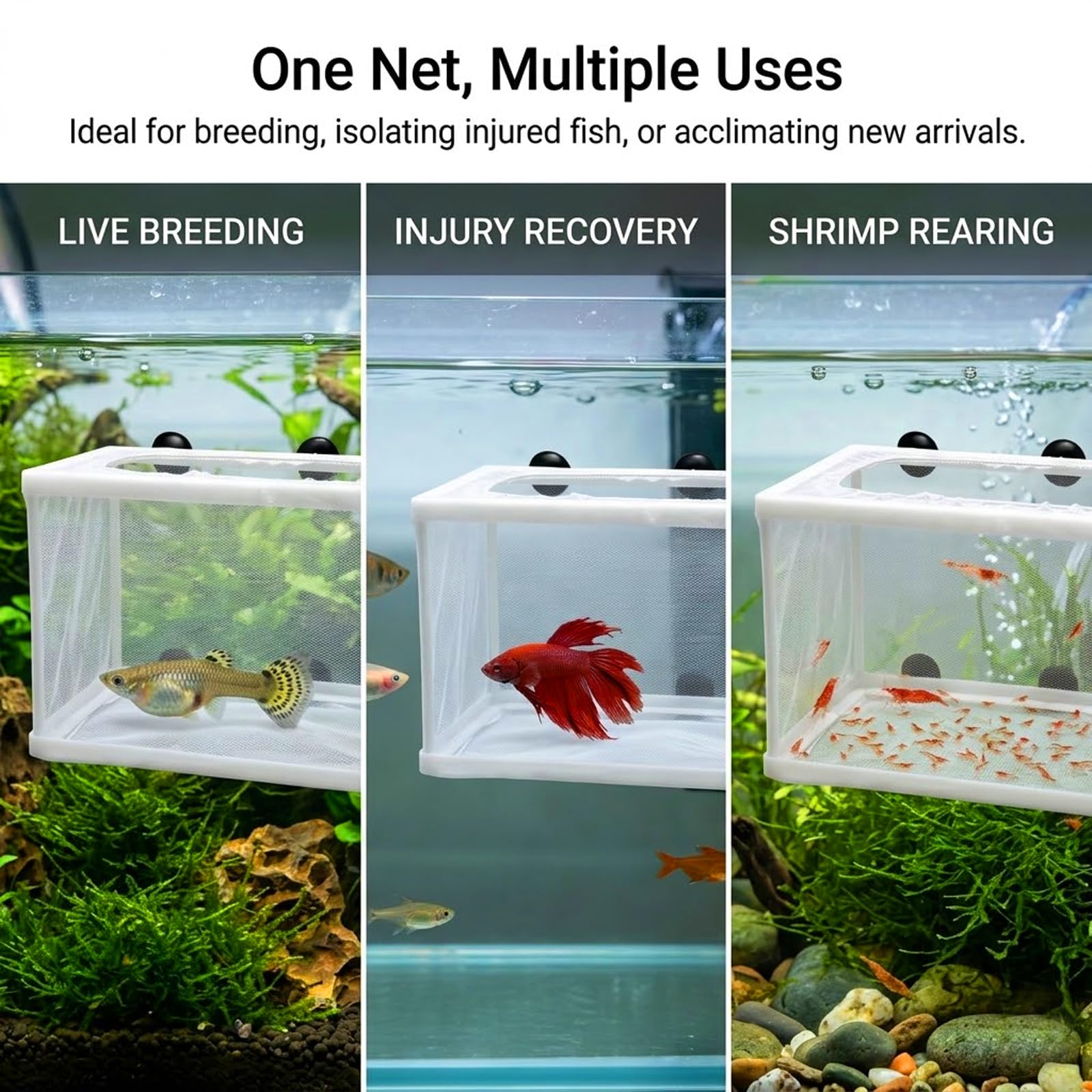 Anxingo 2 Pack Fish Tank Breeder Net,Fish Isolation Breeding Hatching Box, Plastic Frame Hatching Box Separation Net Breeding Box with Suction Cup for Aquarium : Pet Supplies