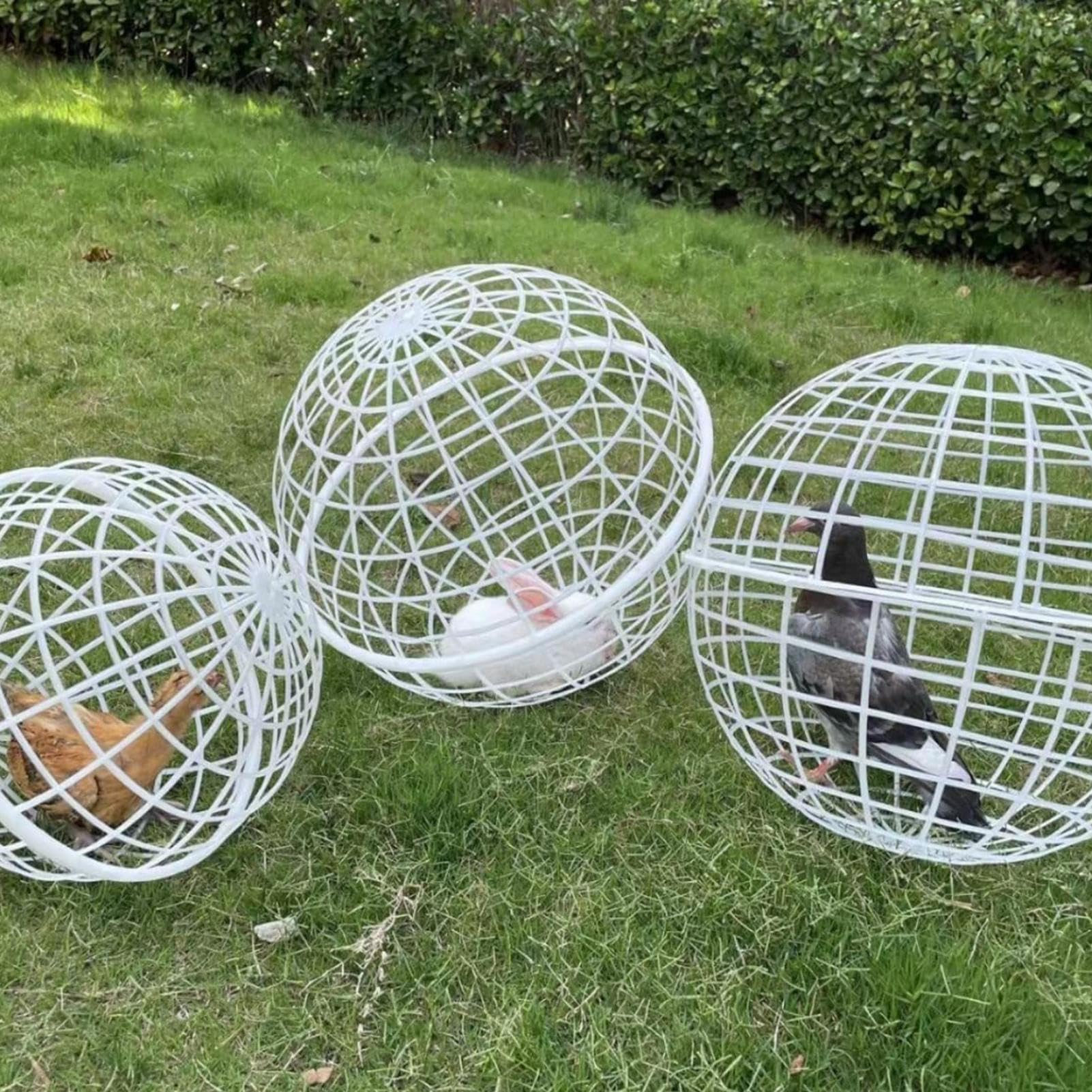 Jaula Esférica Exterior para Gallinas Portátil, Red, Móvil, Aves De | 3 Piezas Jaulas Rodantes Bola Gallinero Recinto Móvil para Aves, Palomas, Pollos, Patos, Pájaros y Hámsteres