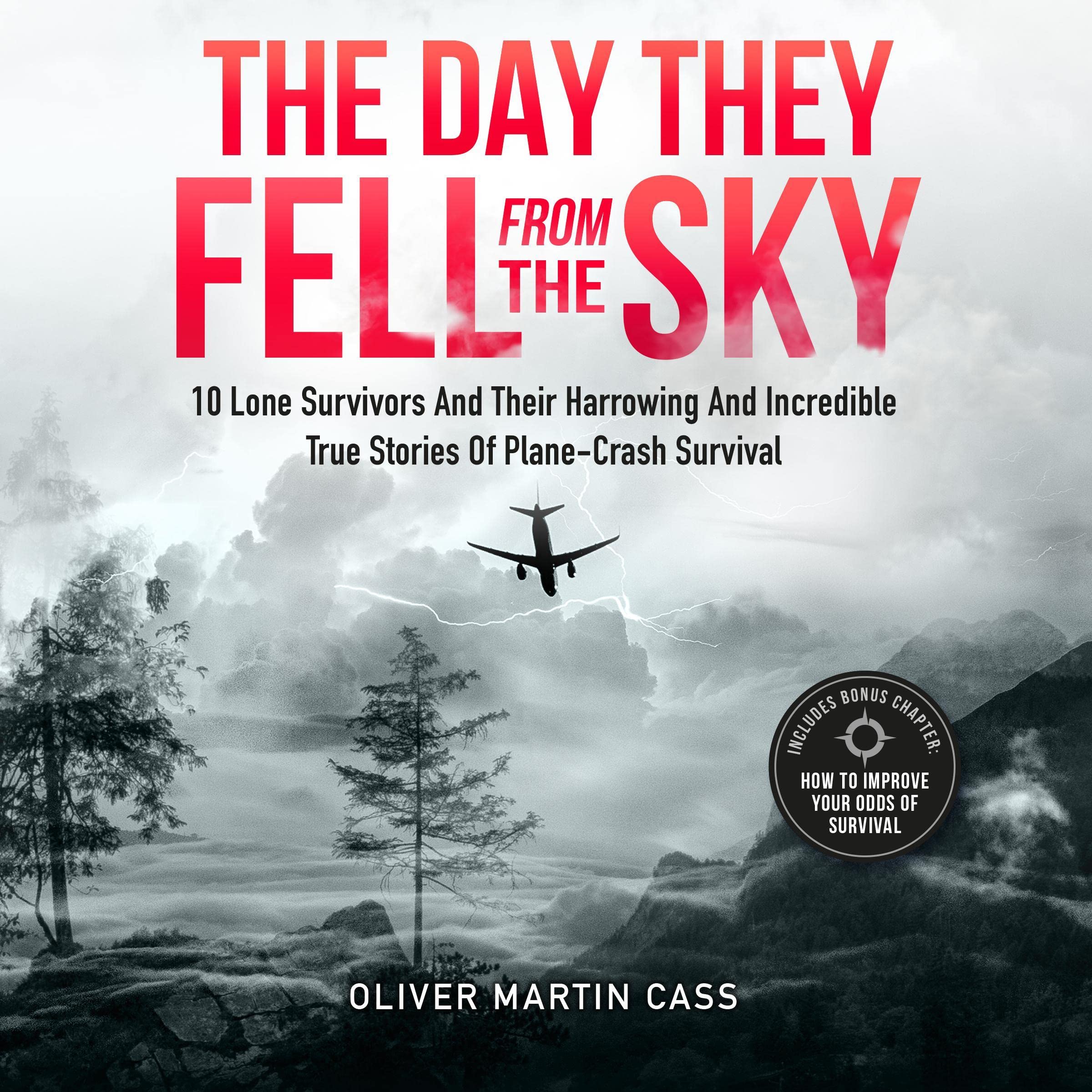Cover art for The Day They Fell From the Sky
