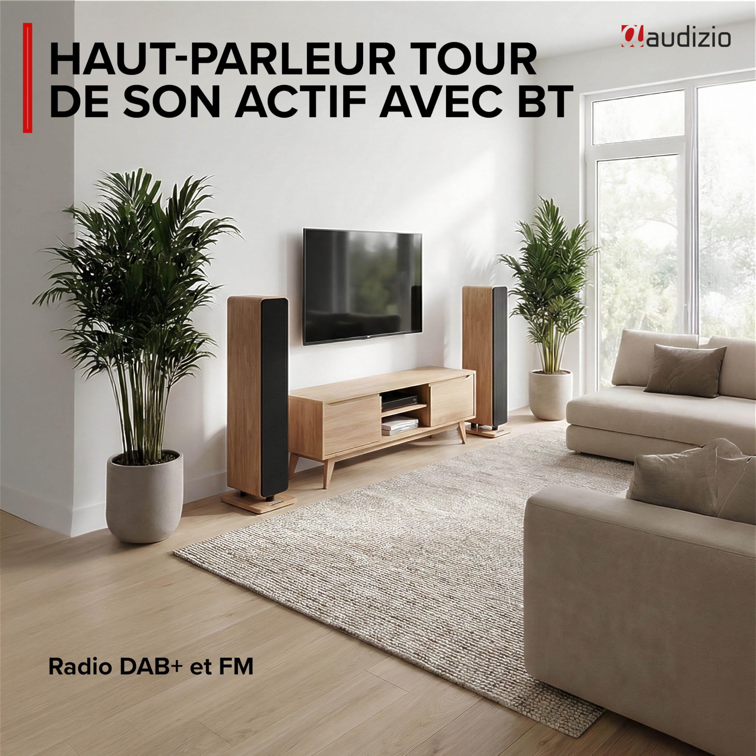 Audizio ARCO Tour de Son Hi-FI Stéréo 320W Chêne Clair - Pack Enceintes Colonnes Active + Passive avec BT, USB et Optique Tour de Son Design pour Salon, TV et Musique