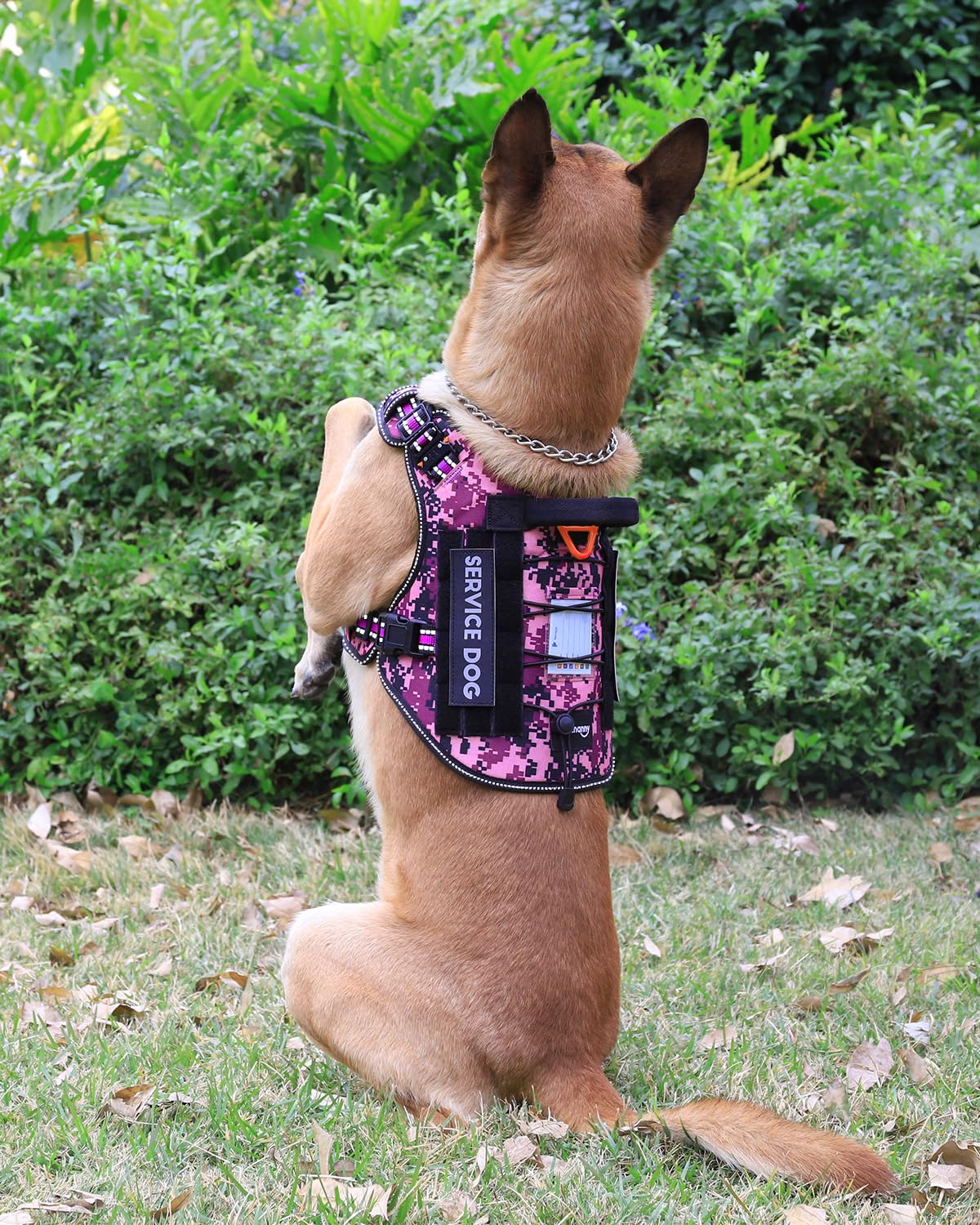 PETNANNY Arnés táctico reflectante con tarjeta de identificación, arnés de chaleco para perros medianos y grandes, chaleco de apoyo emocional con asa acolchada, 2 parches reflectantes para