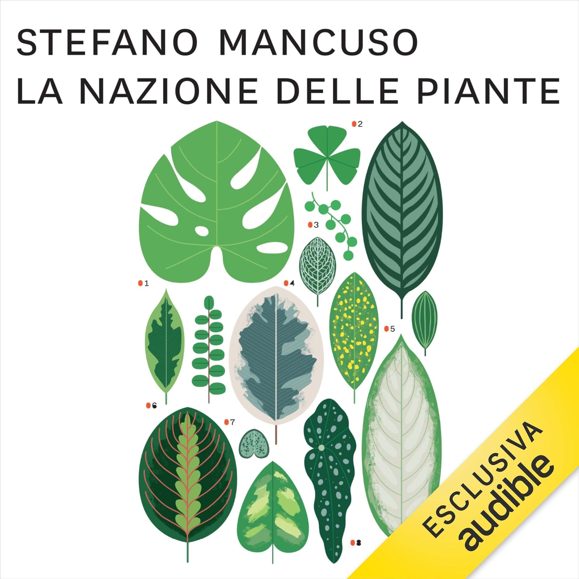 cover-image