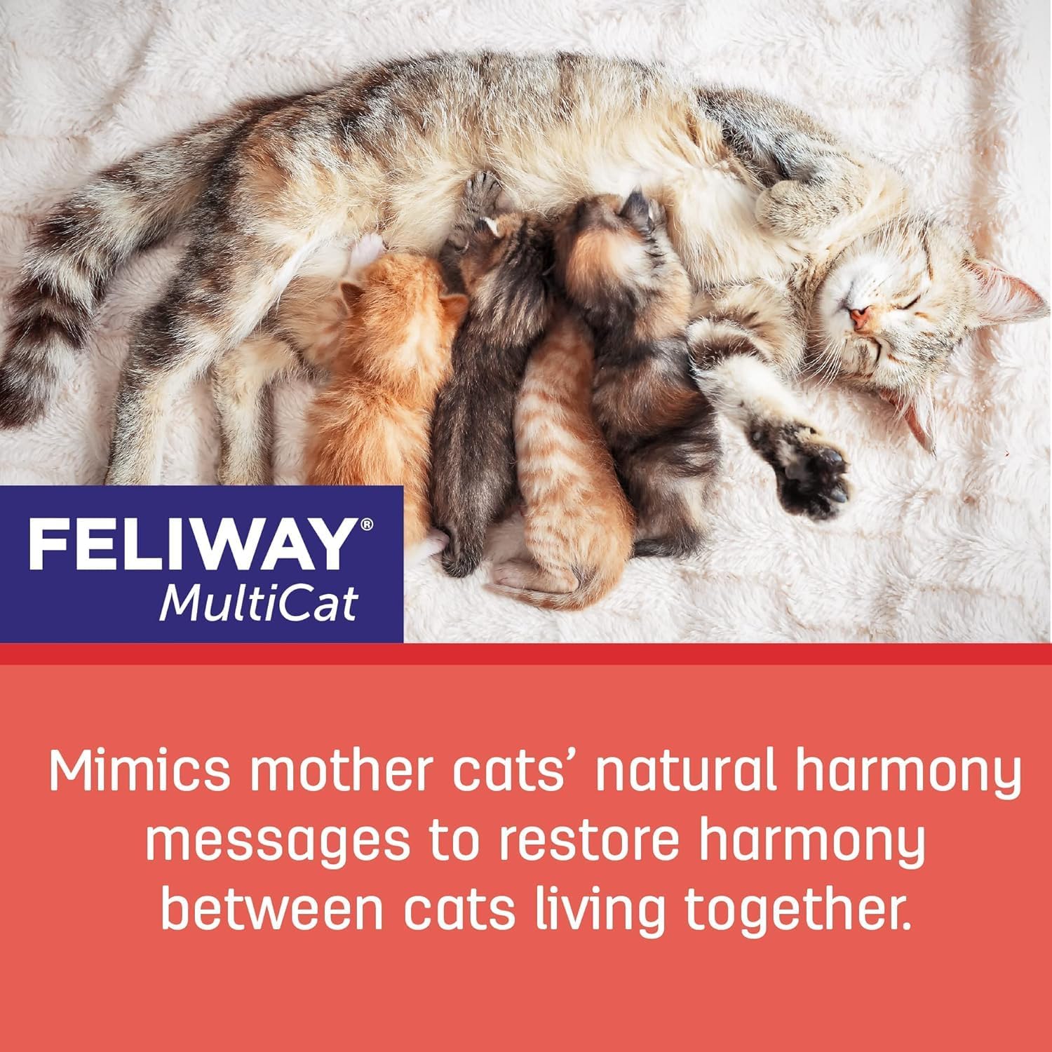 FELIWAY Multicat Diffuser Refill 2 Refills 48ml Each