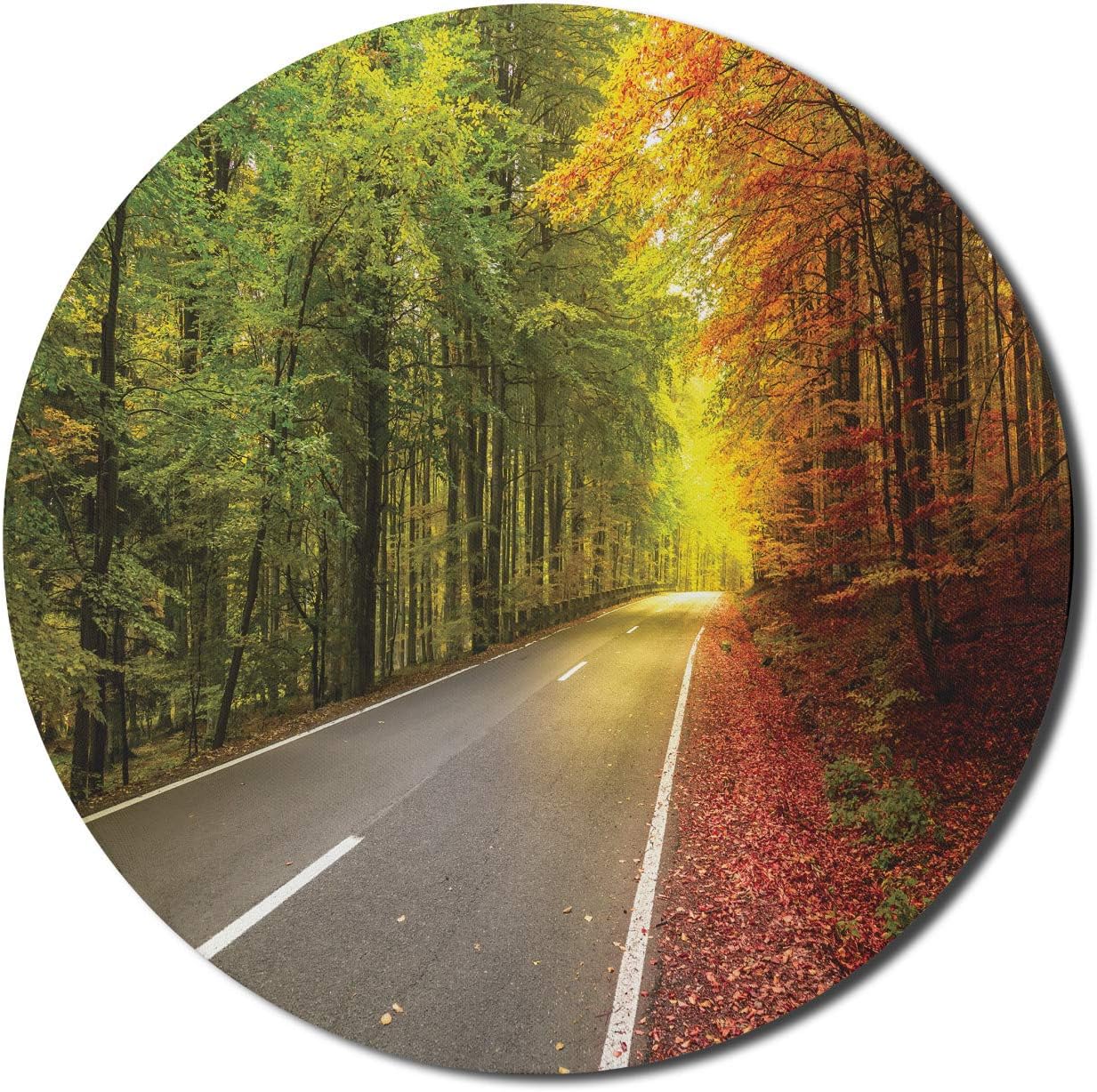 Ambesonne Autumn Mouse Pad for Computers, Cozy Scene Road Trees Warm Sunrays 2 Seasons at Once Photo, Round Non-Slip Thick Rubber Modern Gaming Mousepad, 8 Round, Olive Green Yellow
