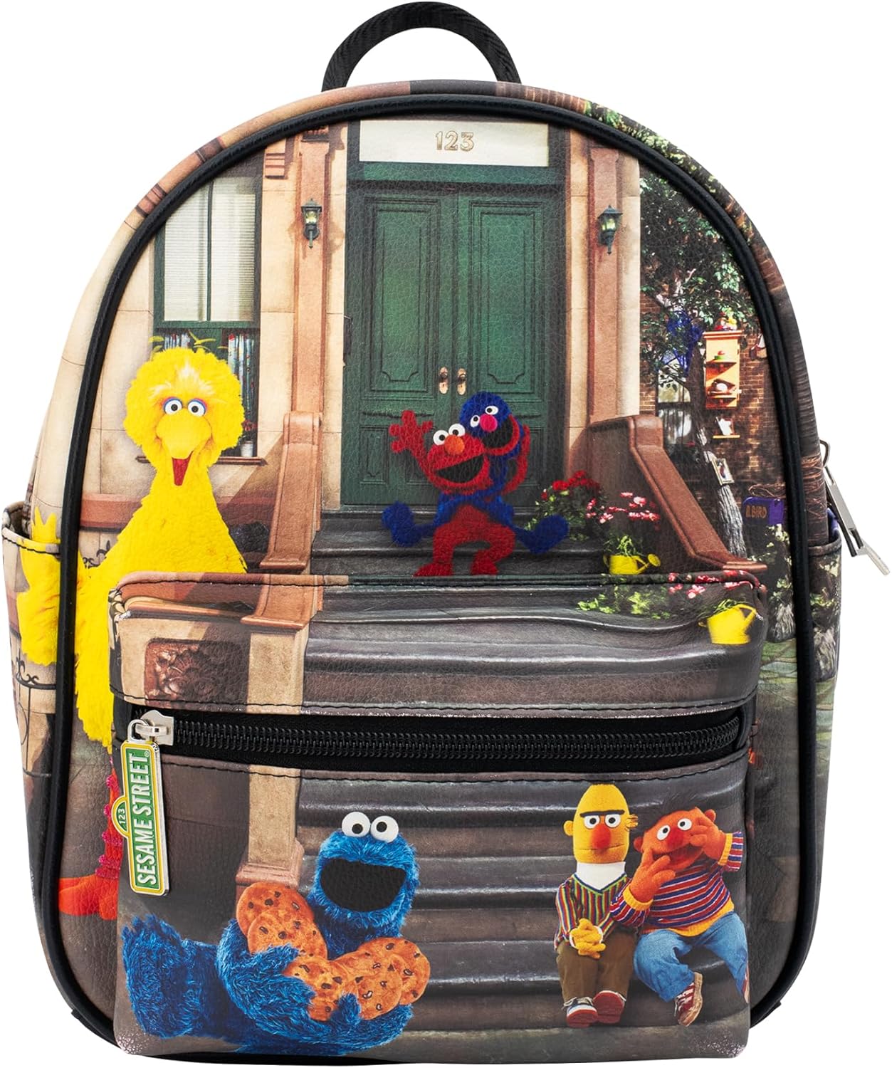 AI ACCESSORY INNOVATIONS Sesame Street Stoop Fun 10.5 Inch