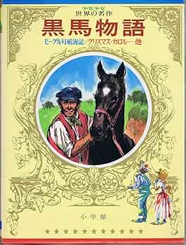 【希少】英米文学、多彩な文学解釈への誘い（川成洋他著） 希少】英米文学、多彩な文学解釈への誘い（川成洋他著）