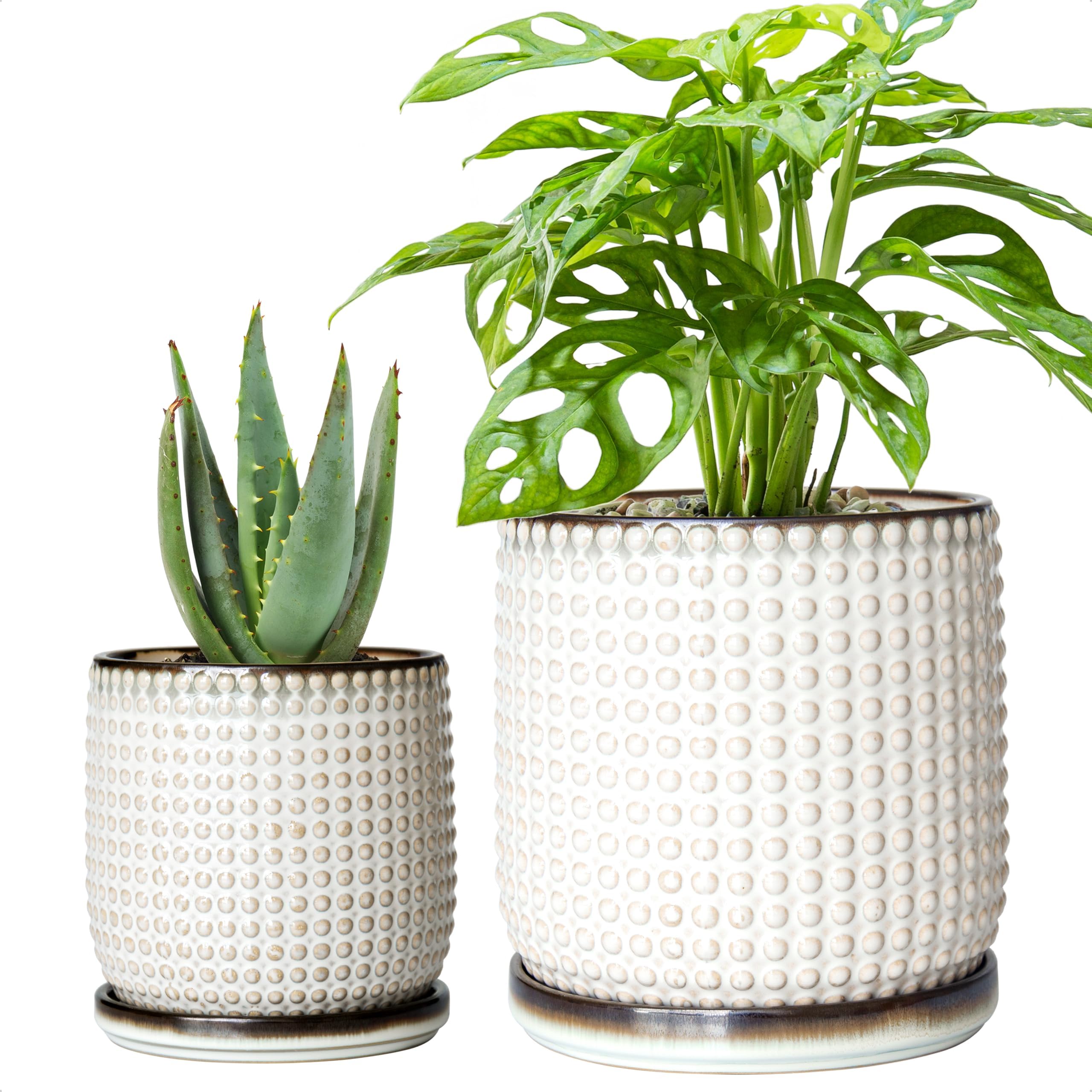 6 Inch 4 Inch Ceramic Indoor Planter Pots with Drainage Hole and Saucer, Beaded Design Flower Pots, Set of 2, Smoked White, 27-D-U-1