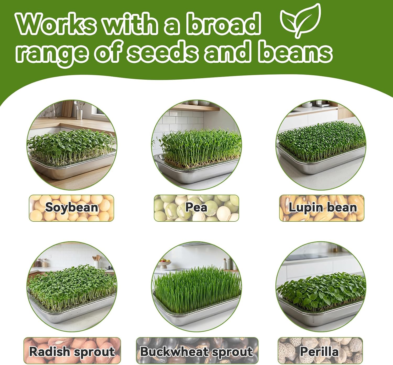 2 Pcs Stainless Steel Seed Sprouter Growing Trays Kit with Gauze & Lids (M)