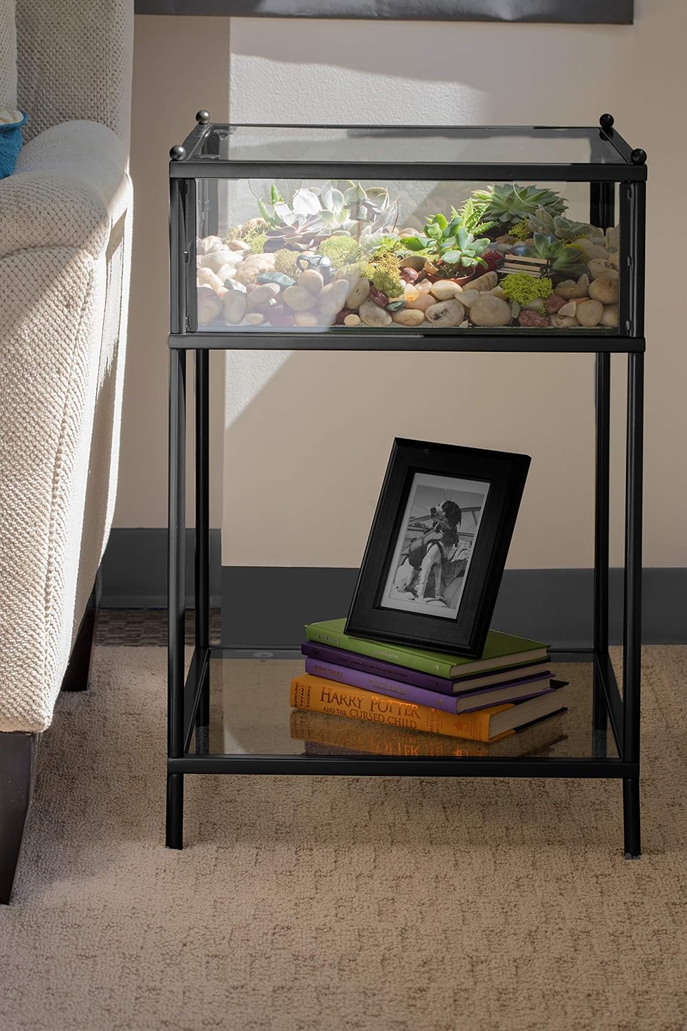 D'Eco Square Terrarium Display End Table w Reinforced Glass in Black Iron - (Dims: 18 x 18 x 27") - Indoor Decor for Any Home or Office - DIY Garden for Succulents, Moss, Fern - Gift for Plant Lovers