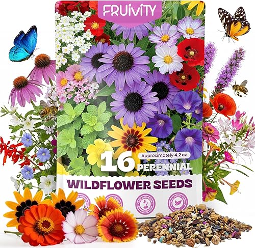 200,000+ Wildflower Seeds Bulk (4oz) – 16 Varieties Perennial & Annual Mix, Attract Bees, Butterflies & Hummingbirds, High Germination for Outdoor Pollinator Garden, Unique Gift for Mother, Women, Mom
