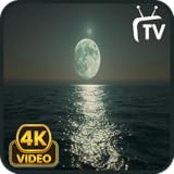 Full Moon Ocean Screensaver - Ocean Waves & Nature Sounds