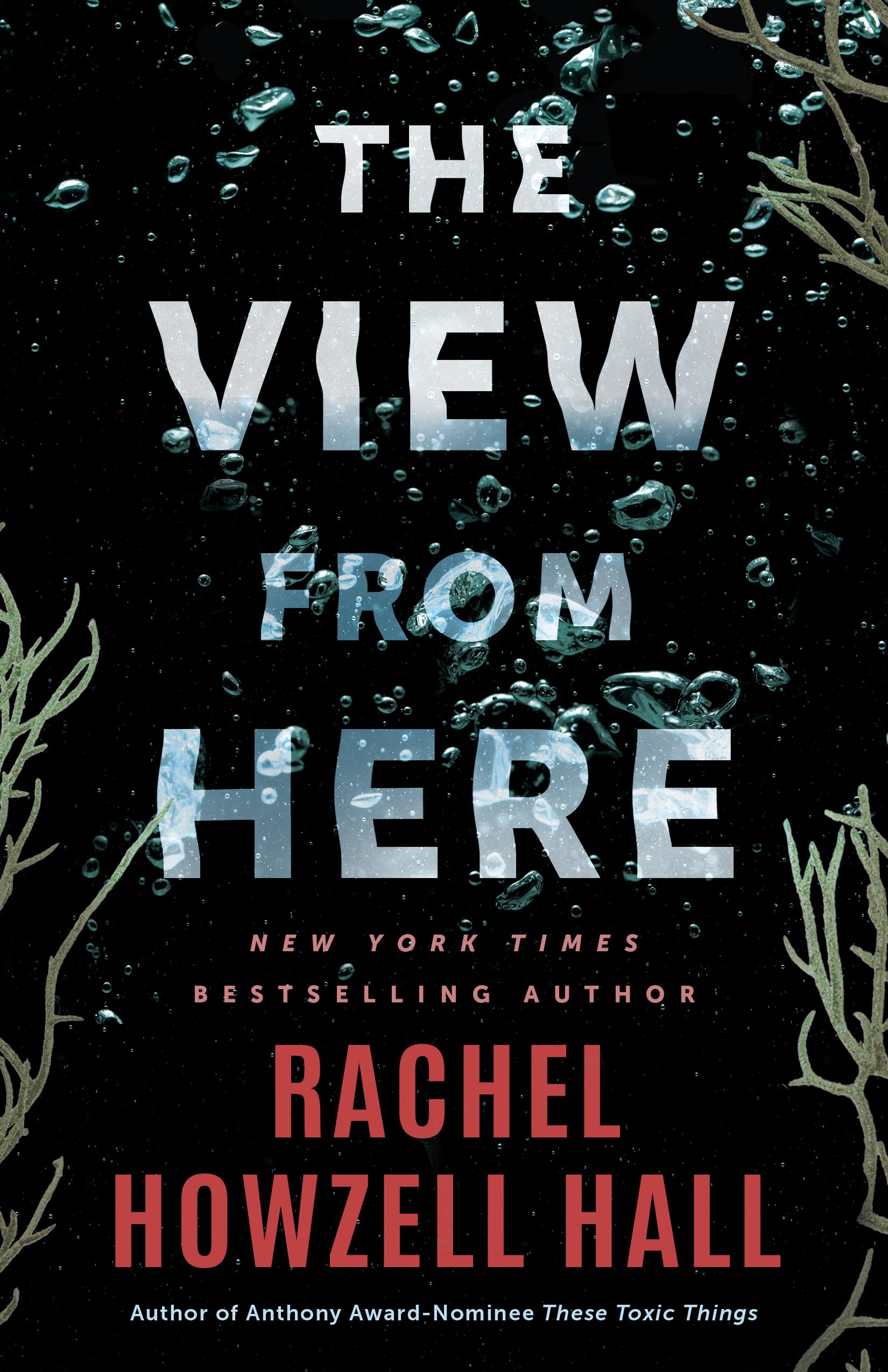 The View from Here: A Thriller
