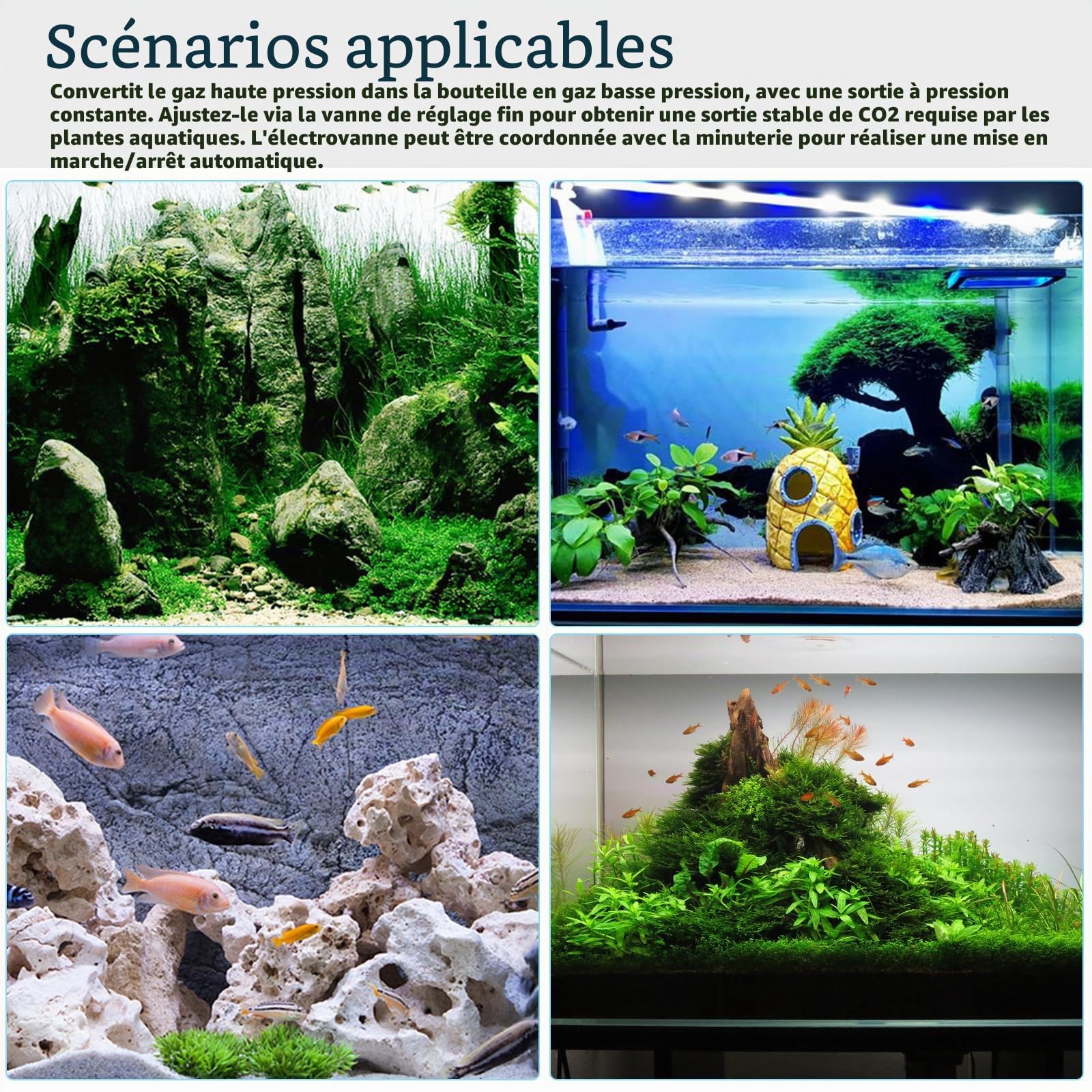 GAOUTO Réducteur de pression de CO2 d'aquarium - Interface W21.8 - Double écran de calibre avec compteur de bulles et clapet anti-retour - Réducteur de pression pour aquarium planté - Régulateur de