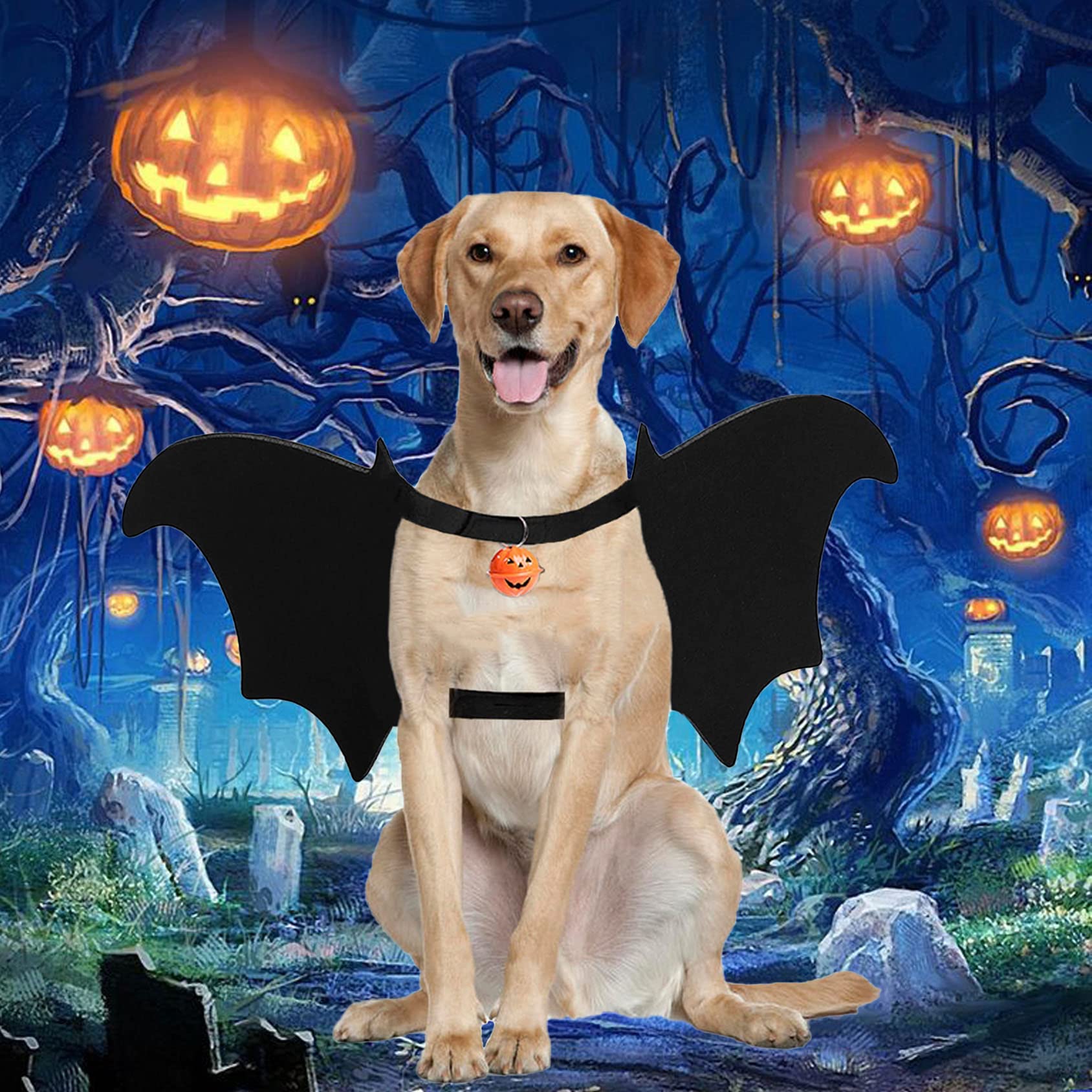 Vivifying Hunde-Fledermausflügel Kostüm – Verstellbar Für Halloween & Cosplay, Mit Glocke