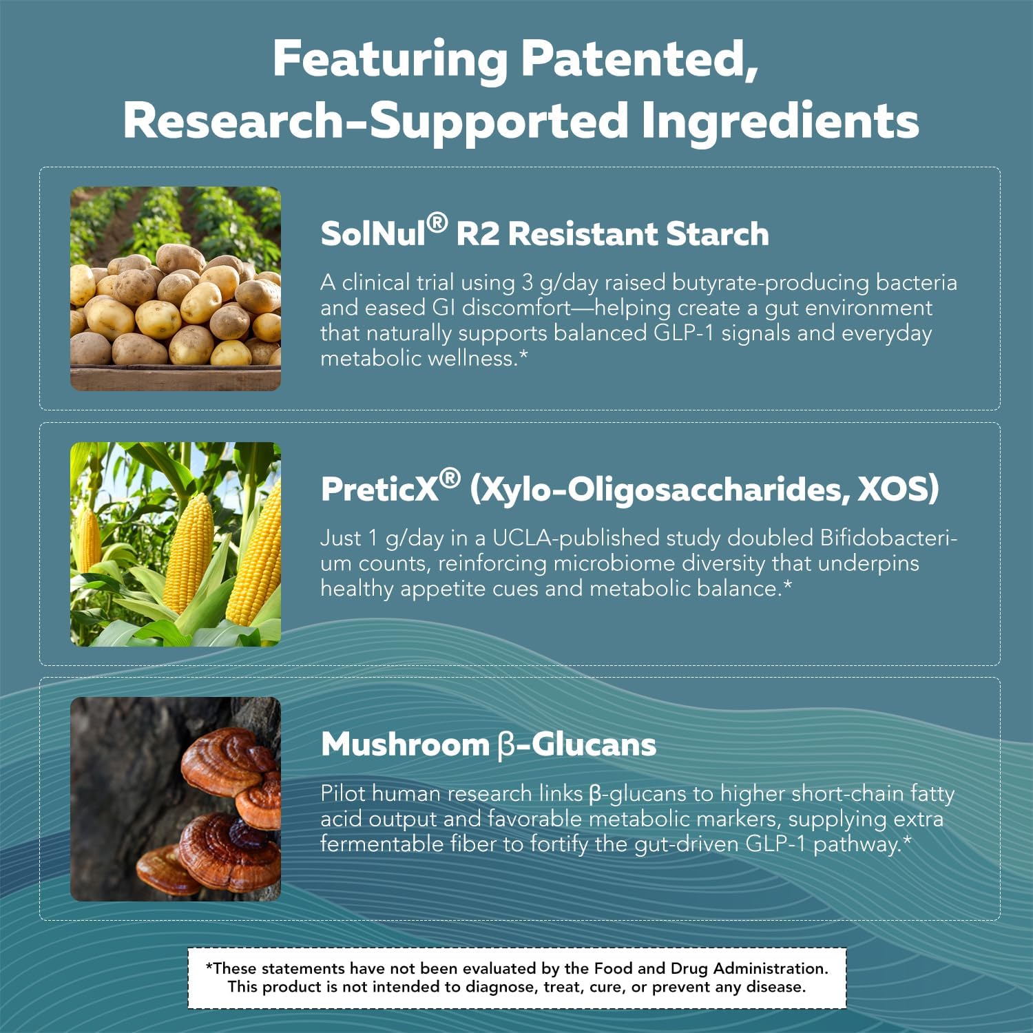 GLP-Pre™ – Optimized Prebiotic Fiber Complex - Gut-Microbiome Optimization for Natural GLP-1 Pathway Support & Metabolic Wellness - Includes Clinically Studied Non-Digestible Fibers - 30 Servings - Image 6