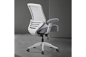 Sayl Chair: BOLISS Ergonomic Office Chair for Comfort and Productivity