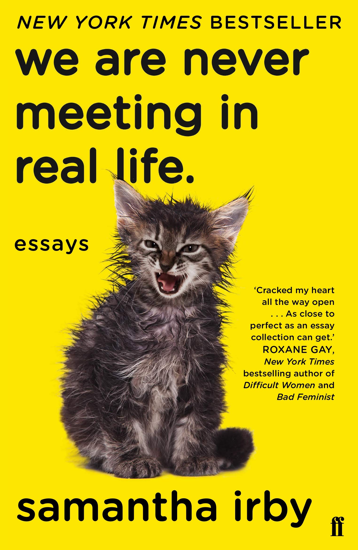 We Are Never Meeting in Real Life: essays