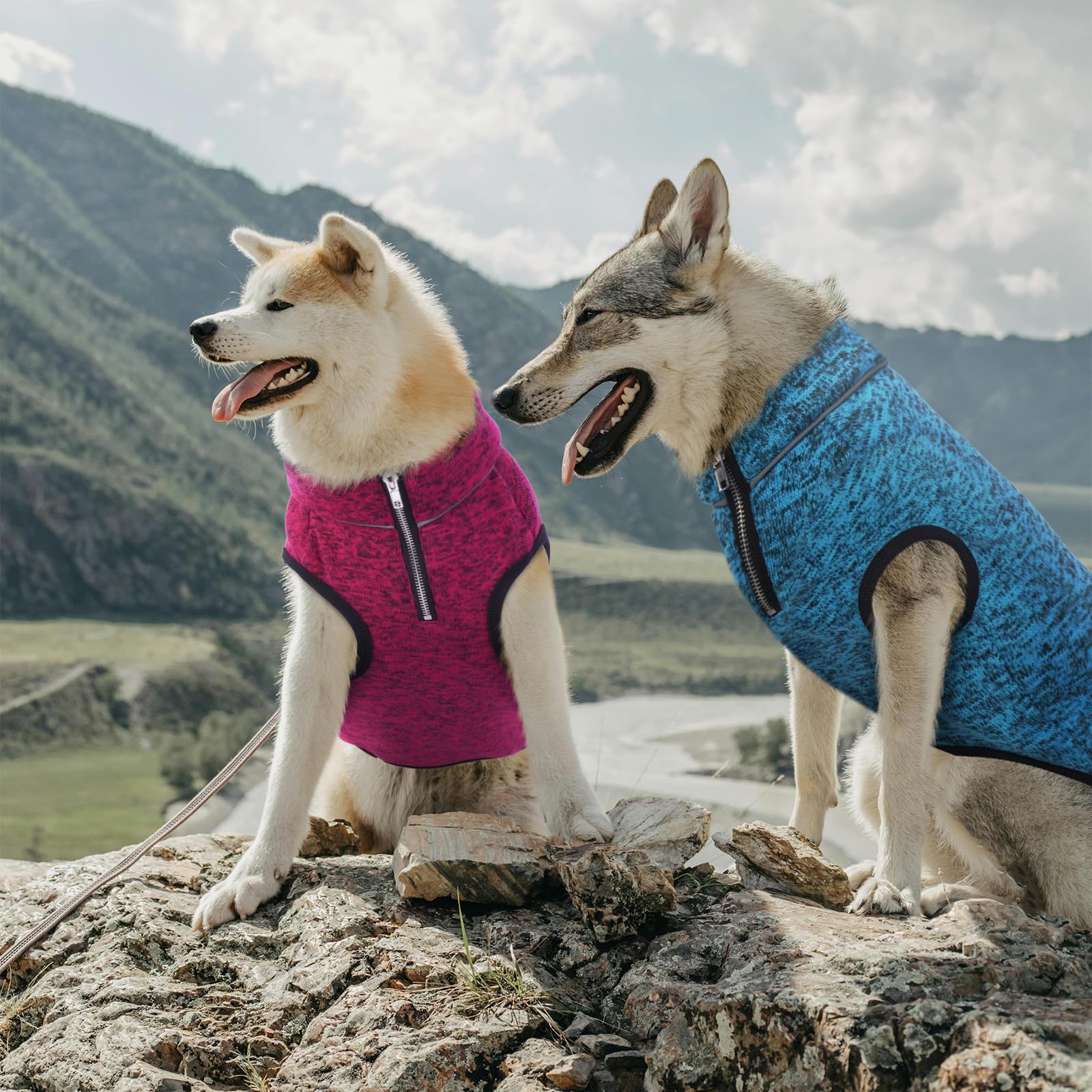 ROZKITCH Suéter para perro, chaqueta para perro con forro polar, abrigo de punto para perros pequeños con apertura de cremallera para arnés, chaqueta de forro polar para perro, cuello ajustable,