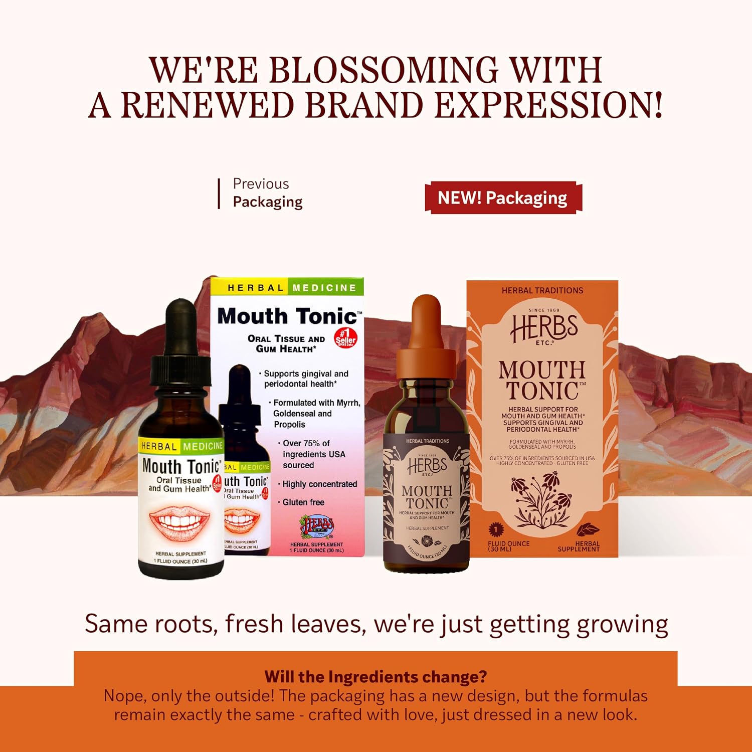Herbs, Etc. Mouth Tonic, Supports Mouth and Gum Health, 1 fl oz