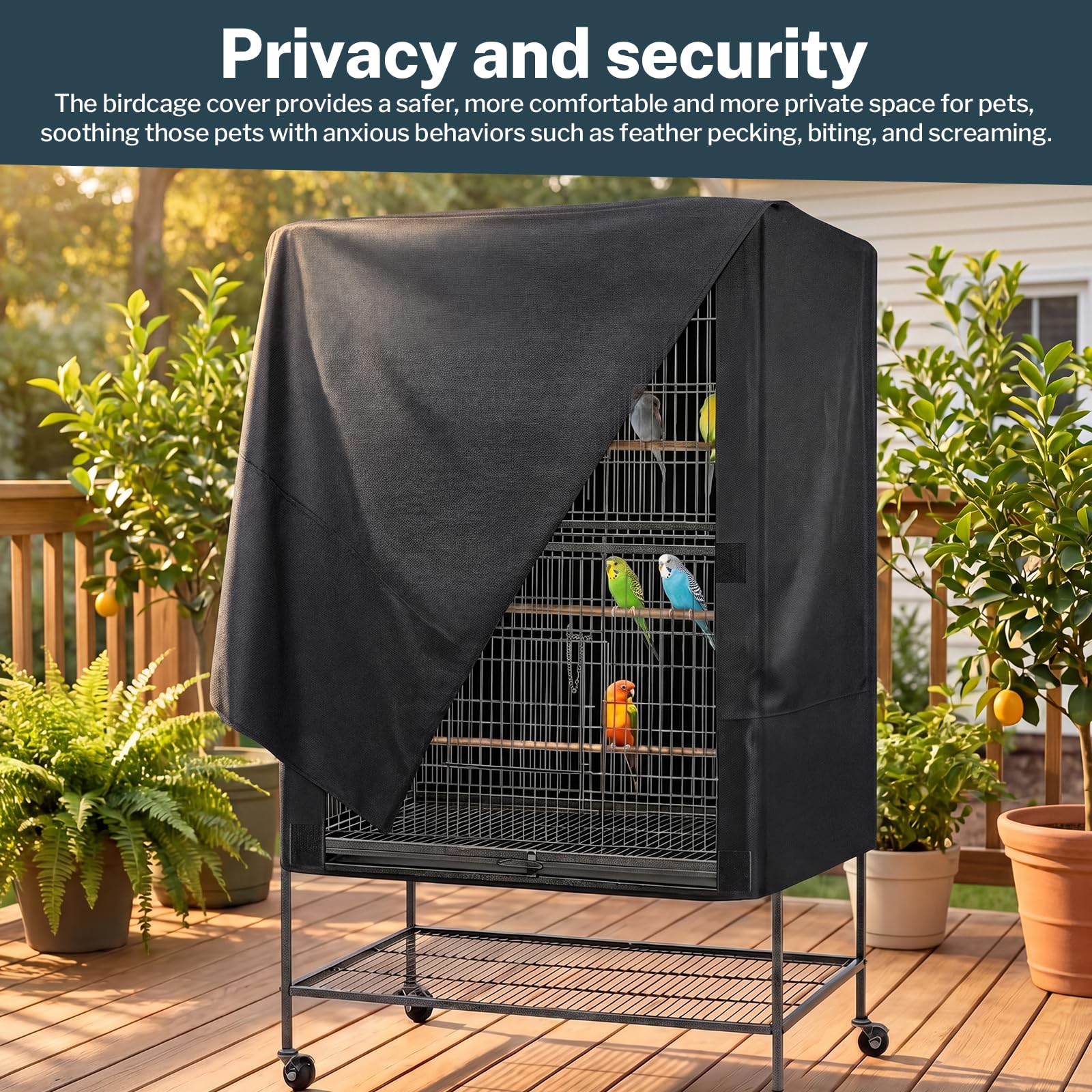View 4