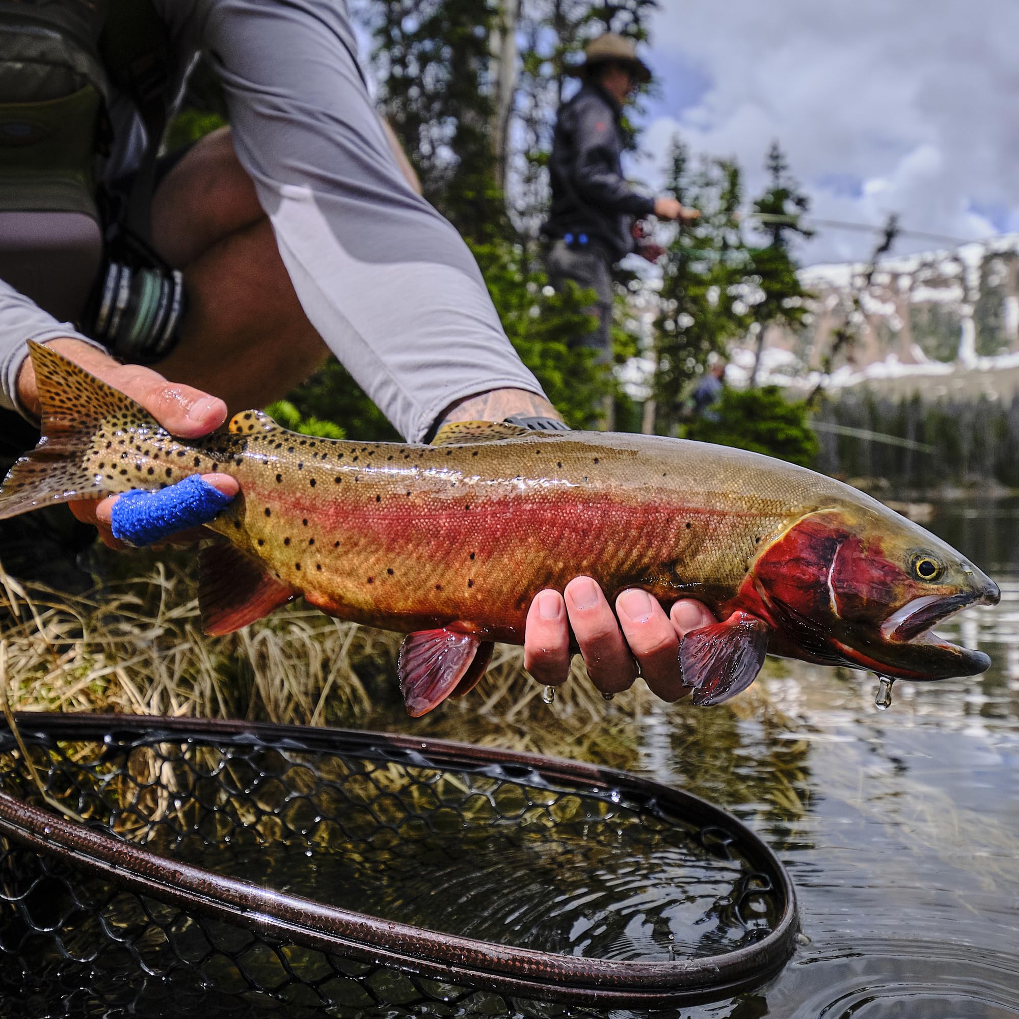Streamers for Trout by Colorado Fly Supply - Balanced Squirrel Leech - Wet Flies and Fishing Lures for Trout Bass Grayling and More