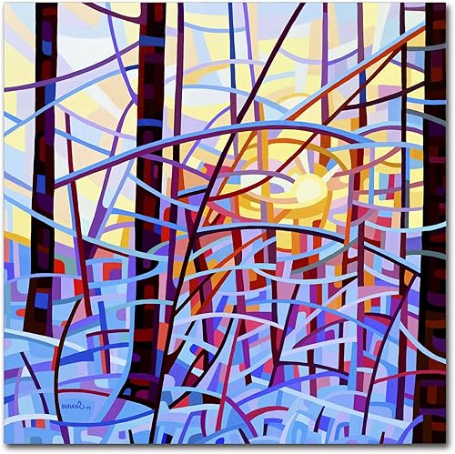 Sunrise by Mandy Budan - Lienzo decorativo para colgar en la pared, 14 x 14 pulgadas