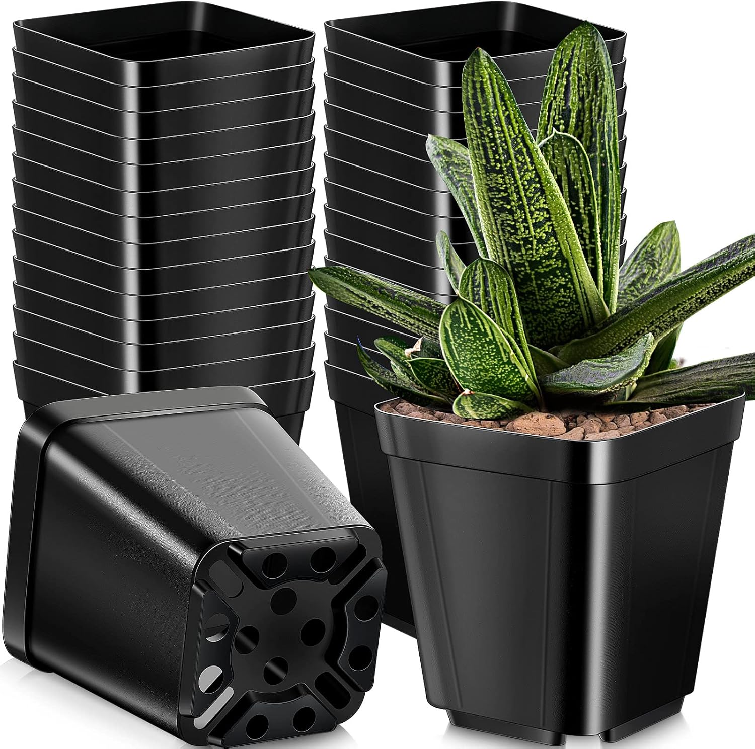 250 Pack 4 Inch Nursery Pots Plant Pots Square Black Plastic Seedling Pots Nursery Planters Flower Pots Planting Pots Plastic Planters for Outdoor Indoor Flower, Succulent, Starting, Seedlings