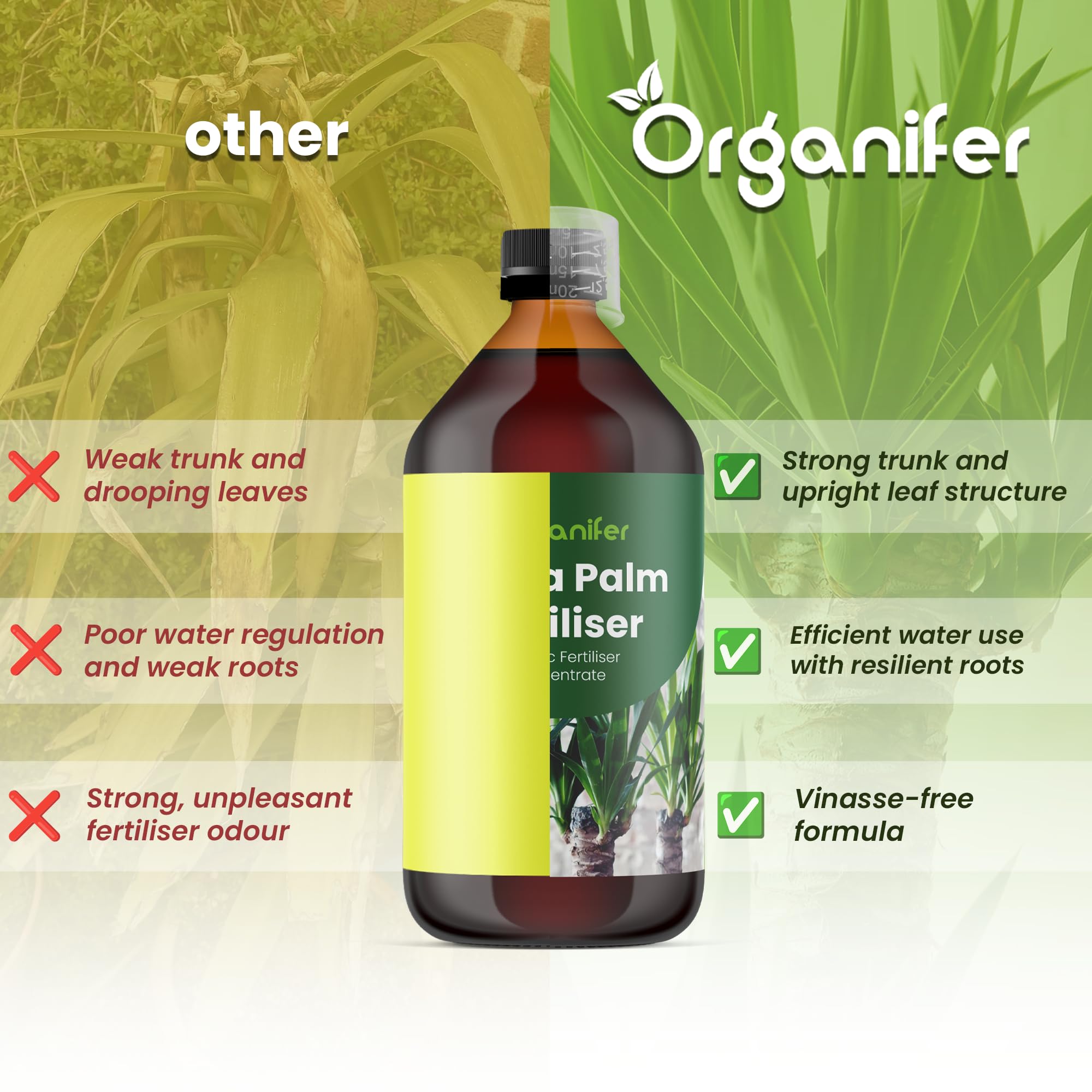 Flüssigdünger Für Yucca-Palmen - 10L - NPK 2-1-8 | Dünger Für Gesundes Wachstum Und Starke Pflanzen - Fördert Wurzeln Und Widerstandskraft - Organifer