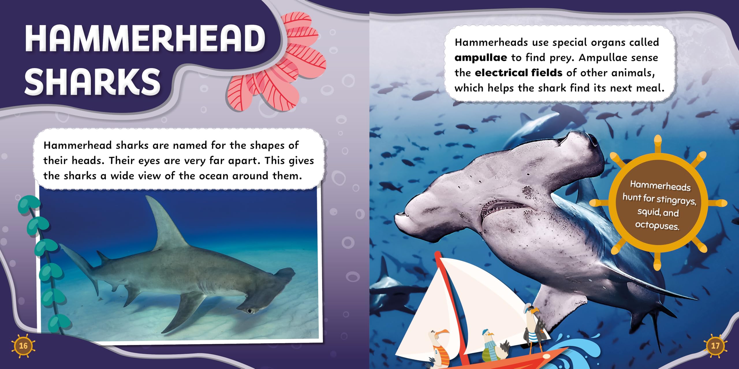 Discovering Sharks and Rays (See-gulls Ocean Tours Set Two)