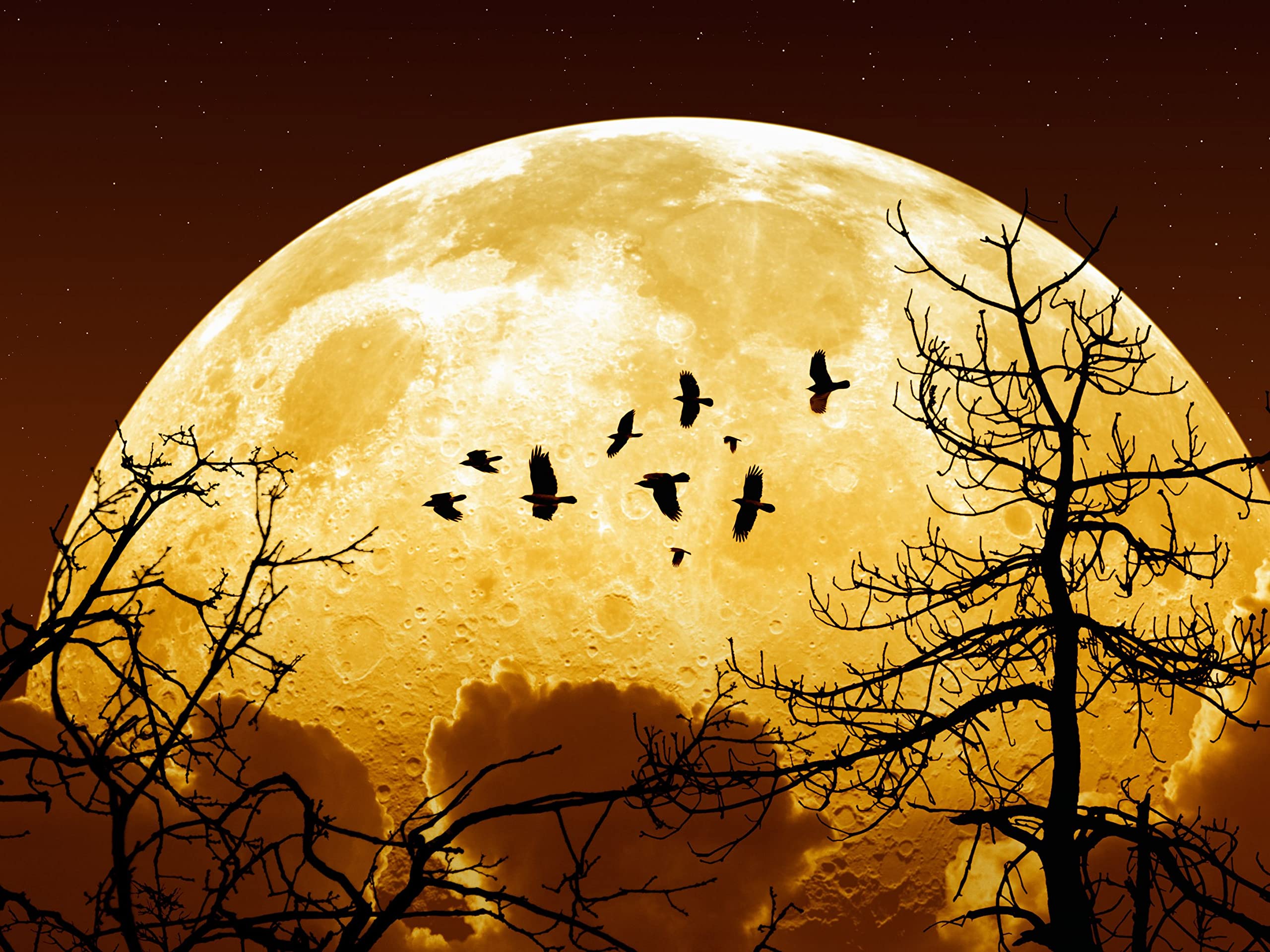 Uncle Watson's Widow