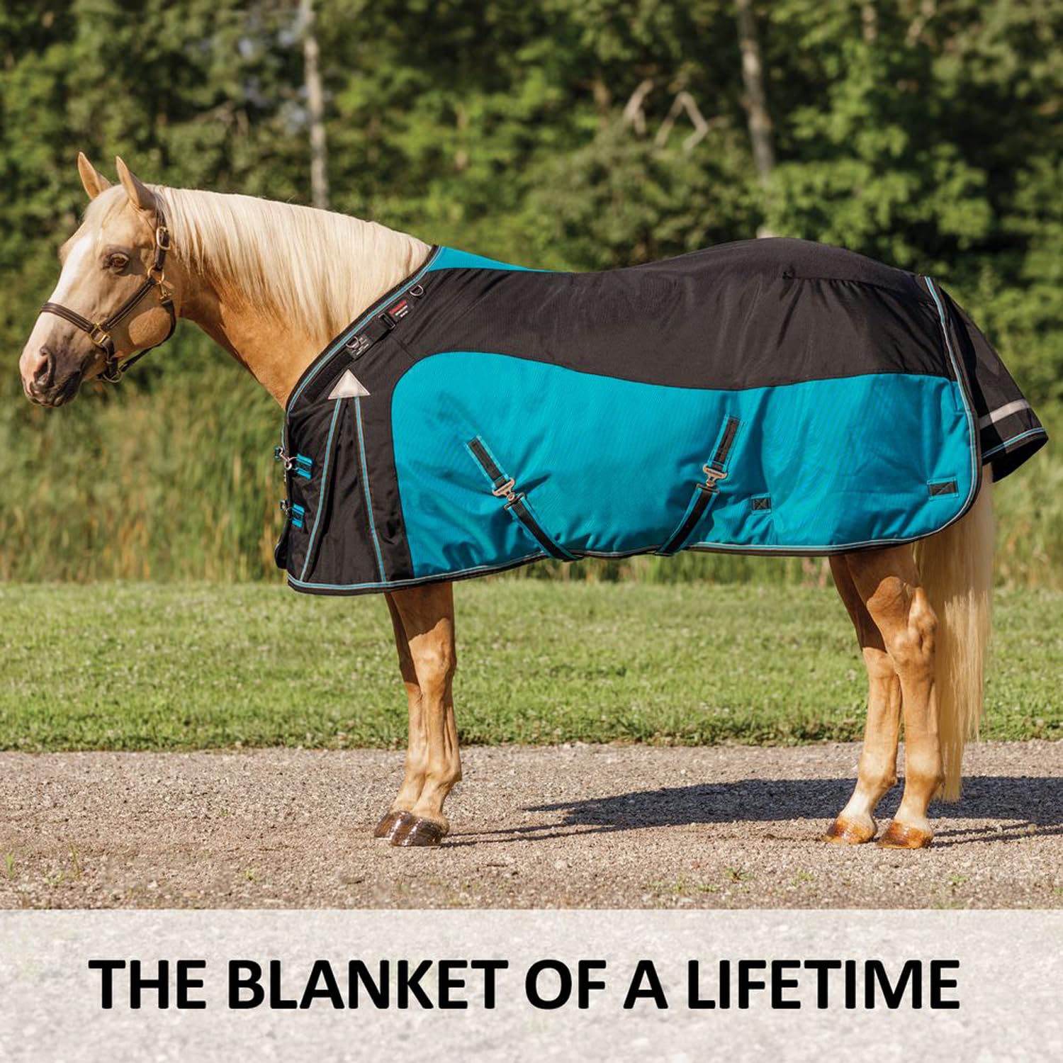 Amazon.com: Schneiders ARMORFlex Pro Adjusta-Fit Horse Turnout
