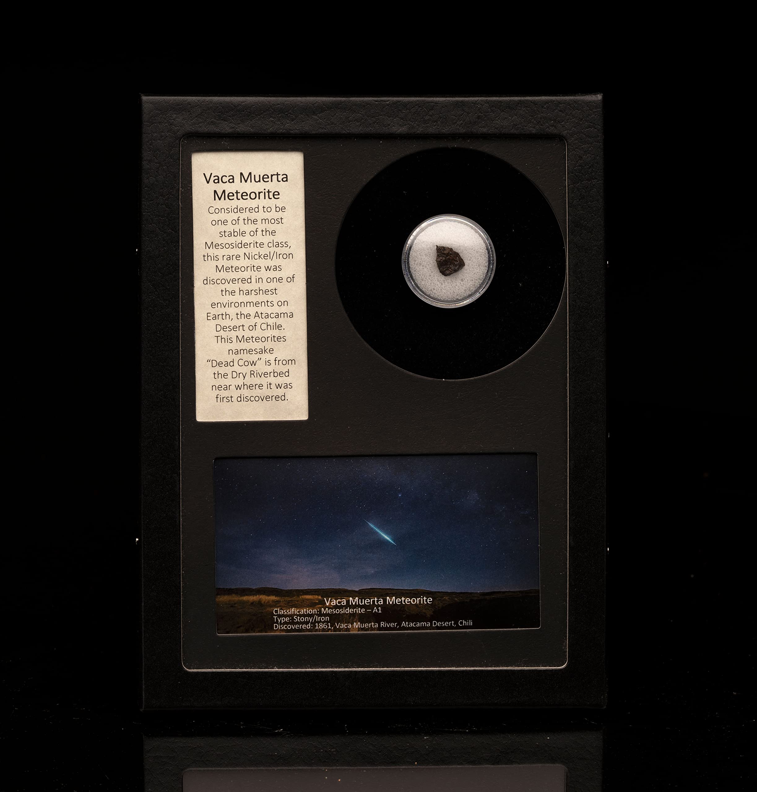 Vaca Muerta Meteorite in Collector's Box