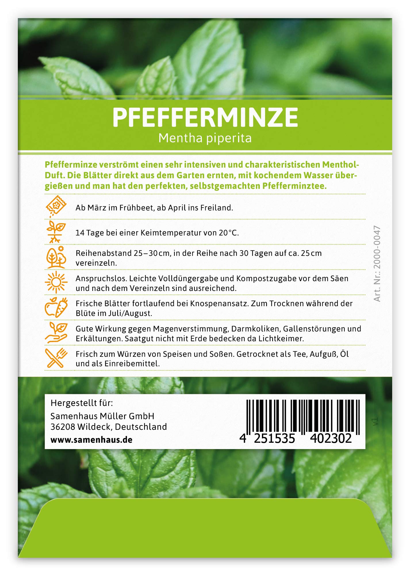 FLORTUS 2000-0047-100x Pfefferminze (100 Tütchen) (Pfefferminzsamen)