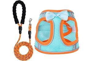 Tiny Paws, Mighty Safe: Plush Dog Harness and Leash for the Littlest Explorers