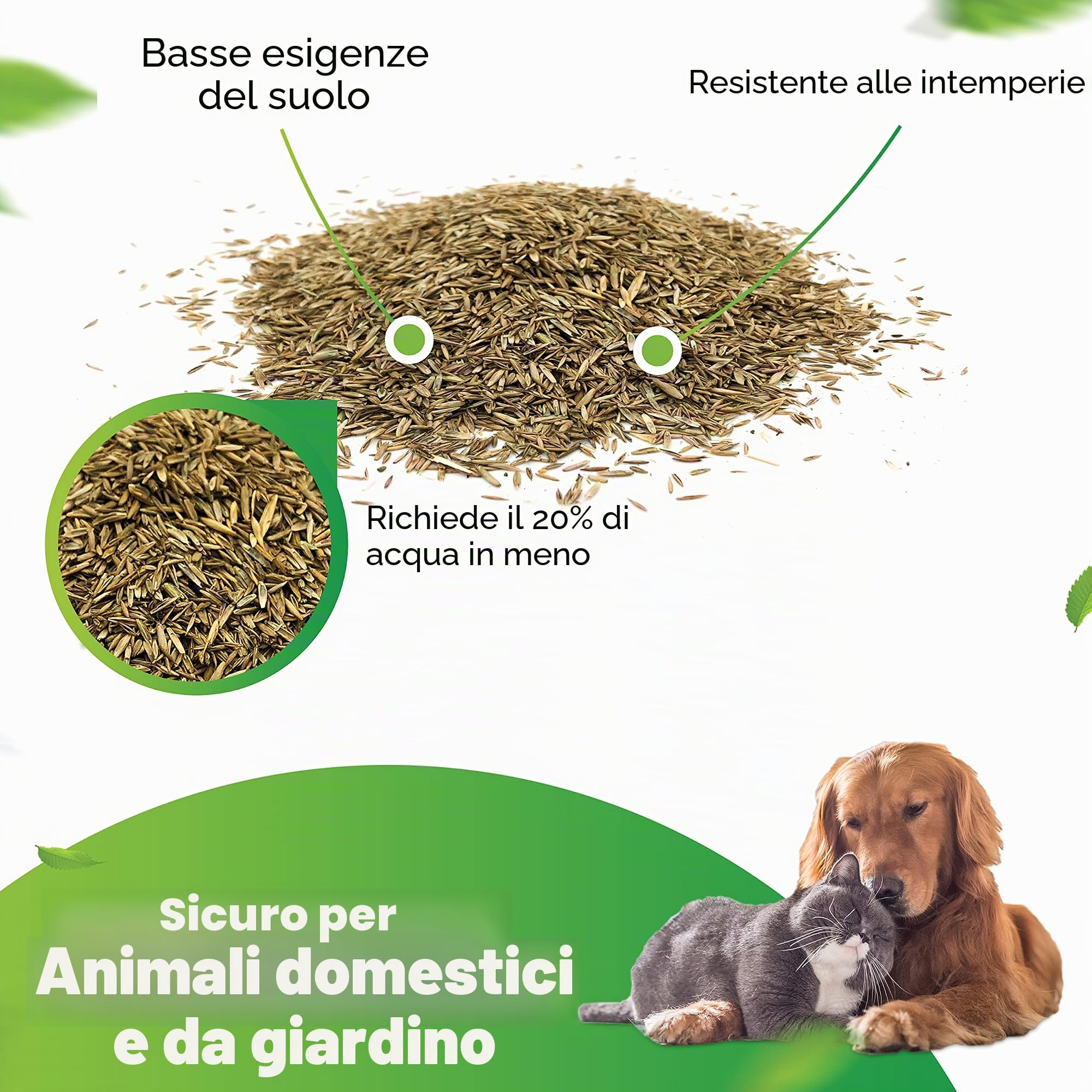 Greenyp® Sunny I erba secca resistente alla siccità, 30 kg per 1200 m², semi di erba, seme di prato, semina di erba, semina di erba