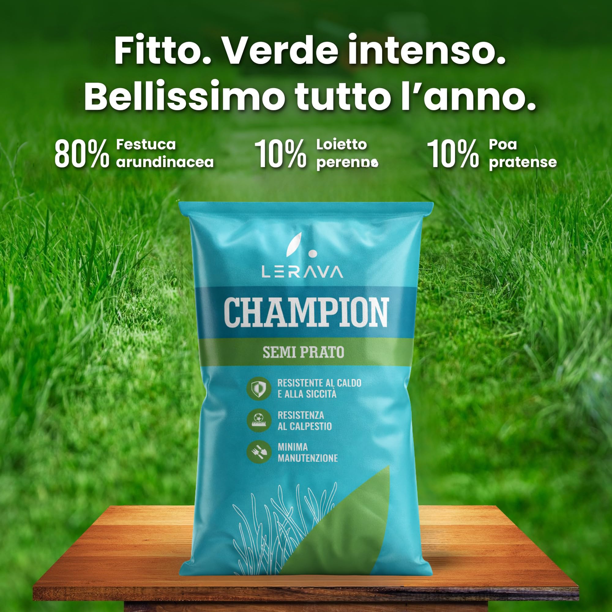 LERAVA CHAMPION semi prato 30m² festuca arundinacea resistente siccità alte temperature prato verde scuro fine