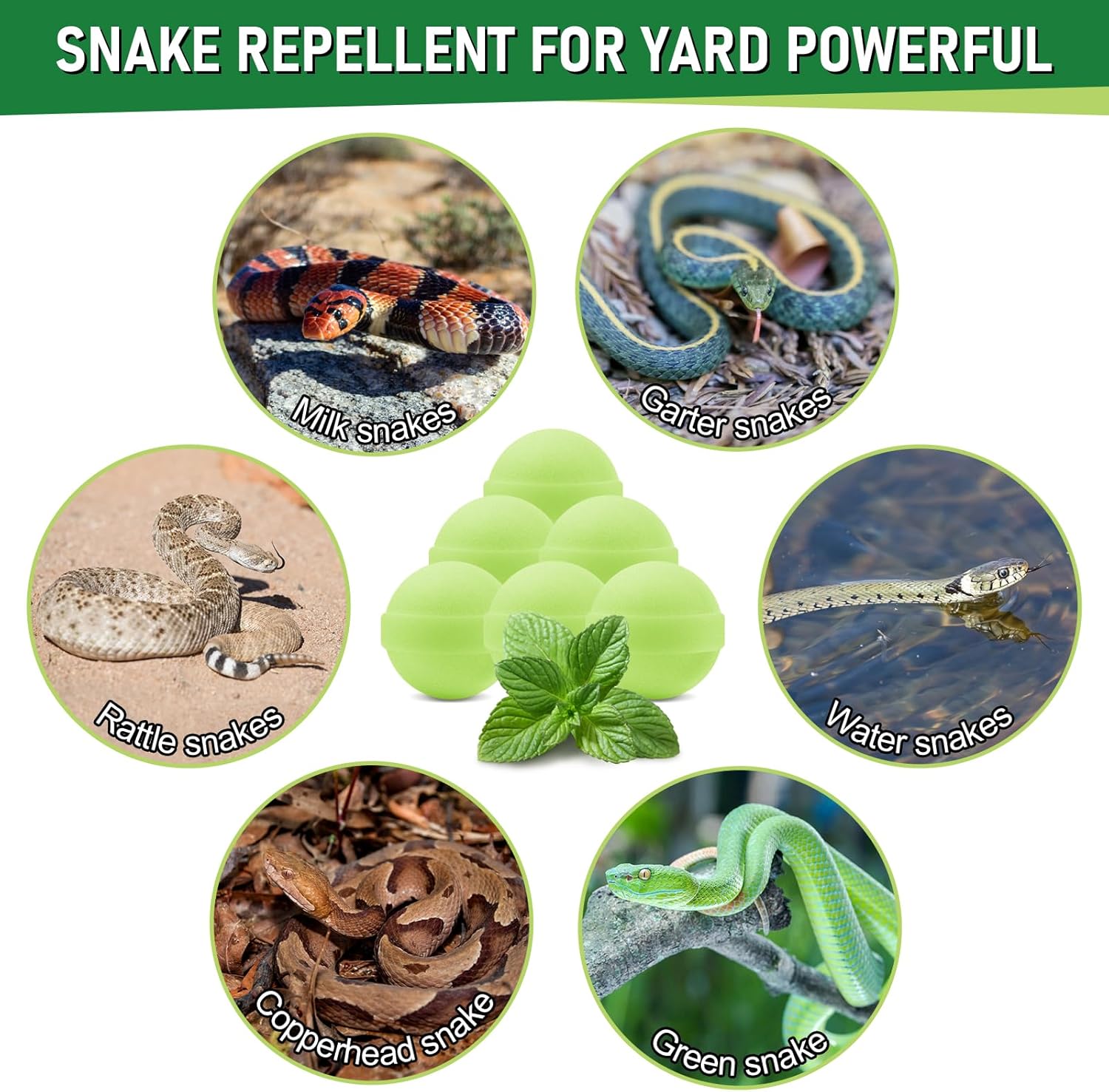 12 Pack Snake Repellent for Yard,Snake Away Repellent Outdoors,Moth Balls for Outdoor Use,Snake be Gone for Lawn Garden to Repels Snakes and Other Pests (Mint)