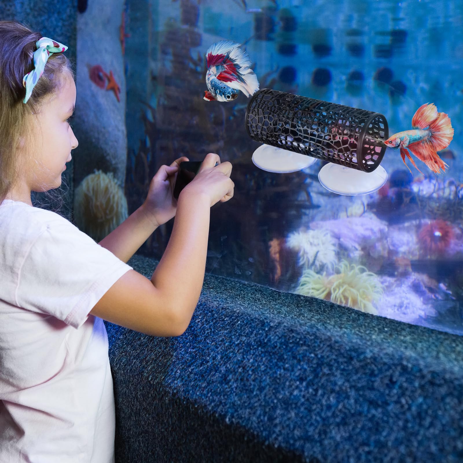 View 7
