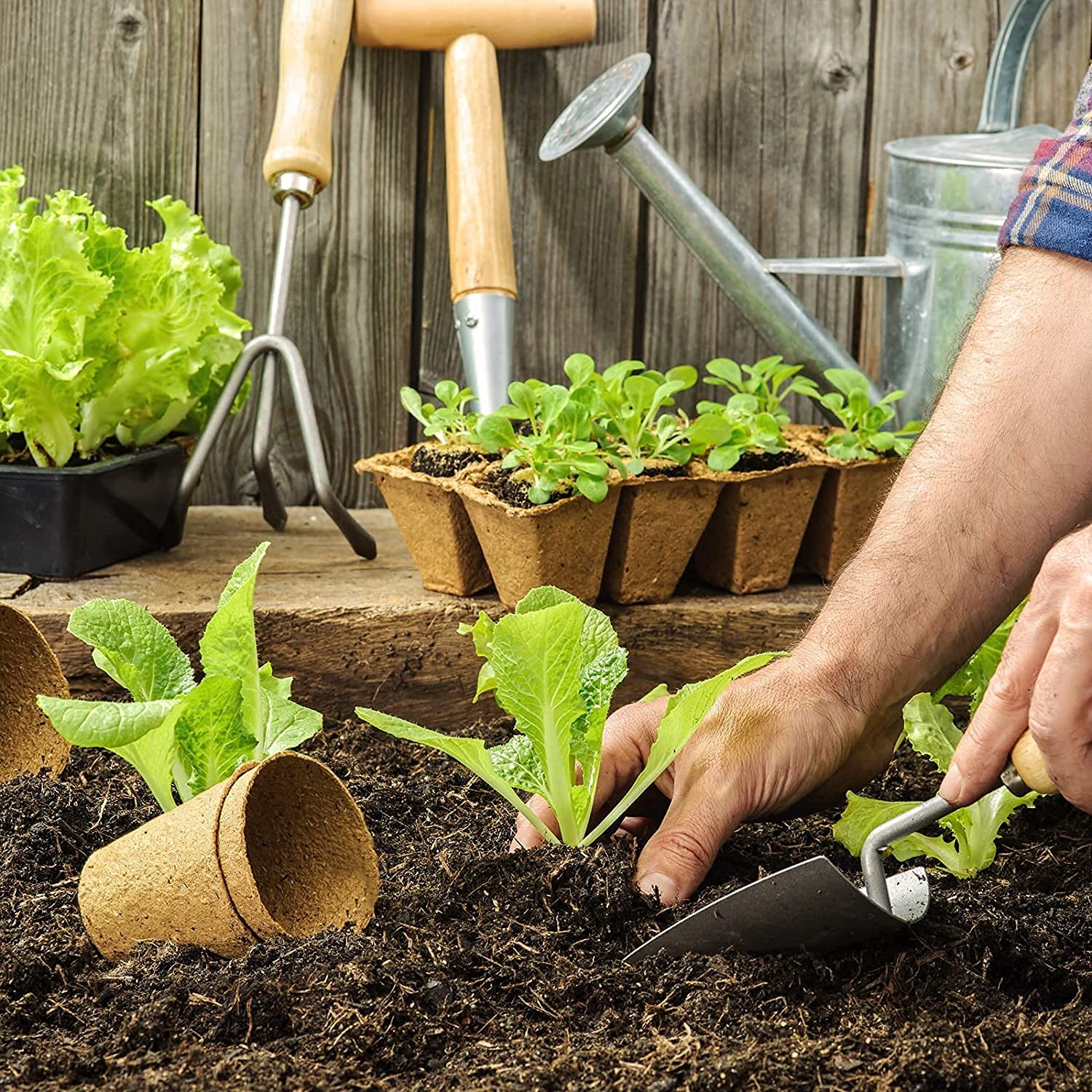 Zuverlässiger Samenstarter, Torftöpfe, Gartenkeimung, Anzuchttöpfe, Bio-Keimung, Pflanzenstarter mit Kunststoff-Pflanzenmarkern, Etiketten für Pflanzen (80, 8 cm Durchmesser)