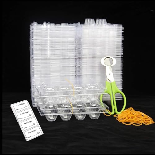 Loving Basso clear 12-grid quail egg carton with lid and rubber band