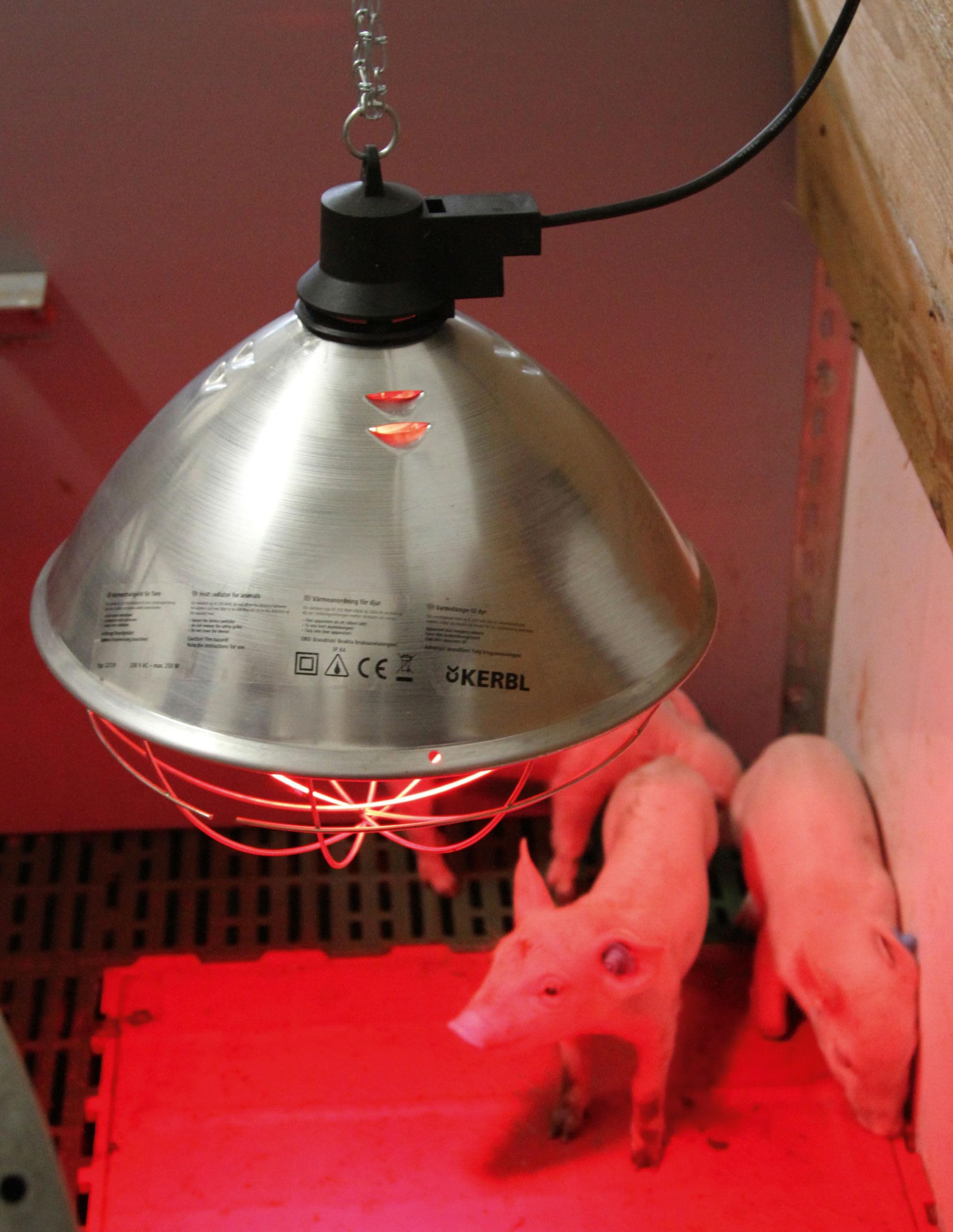 Kerbl Lámpara de calor infrarroja, emisor de calor, 5 m, aluminio, con pantalla de aluminio de Ø35 cm y jaula protectora, incluye cadena de fijación