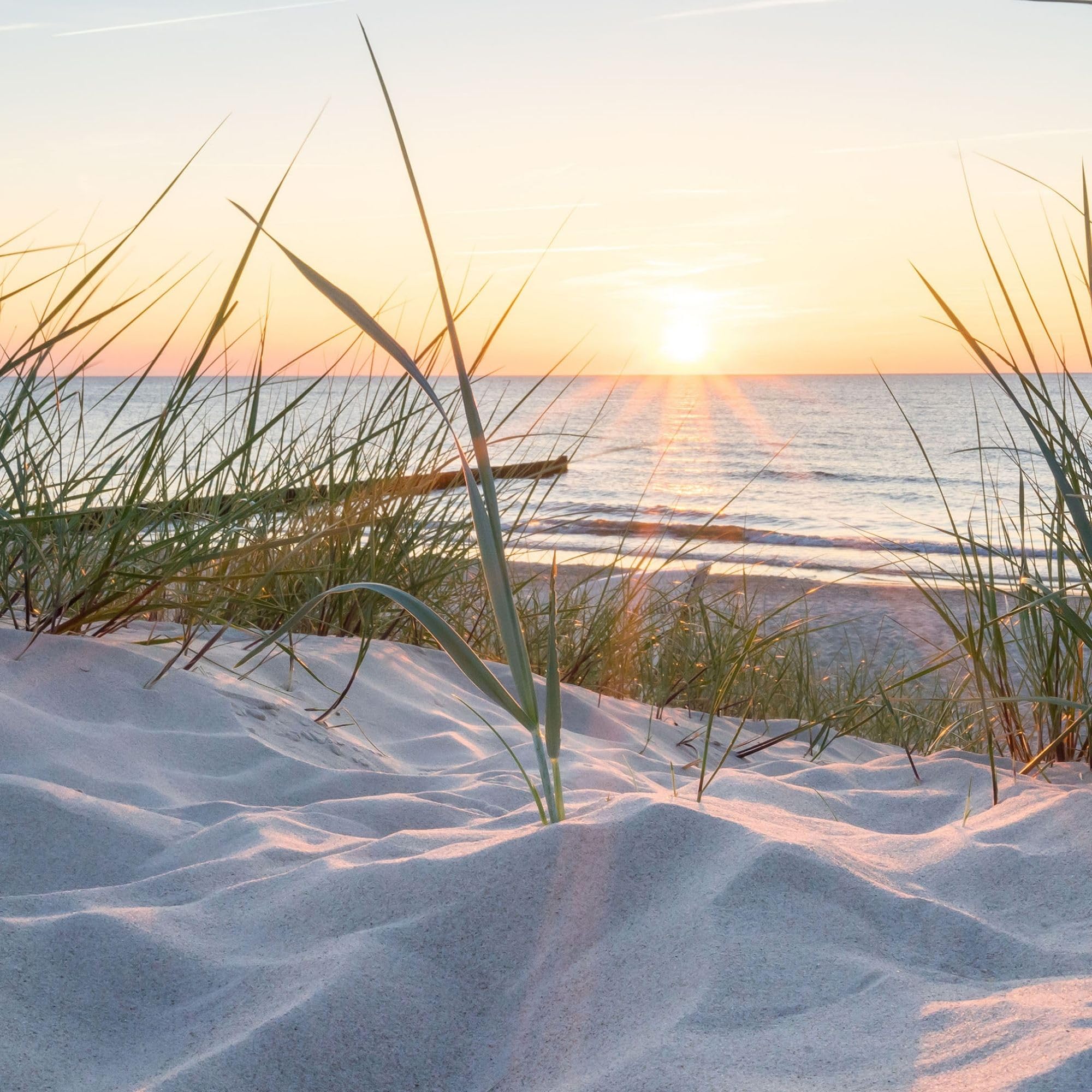 Textil Sonnensegel OSTSEE-Strand | Höhe 200cm | hochwertiger Fotodruck inkl. Keder-Befestigung | Markisen-Vorderwand - Länge/Keder: 200cm / 5mm Keder (Standard Thule & Fiamma)