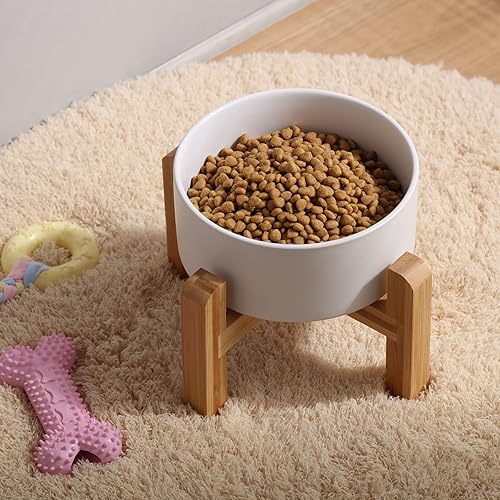 Miniatura 6 de Petygooing Plato de cerámica blanca con soporte para comida y agua para mascotas pequeñas, cuencos modernos y bonitos para gatos y perros de tamaño