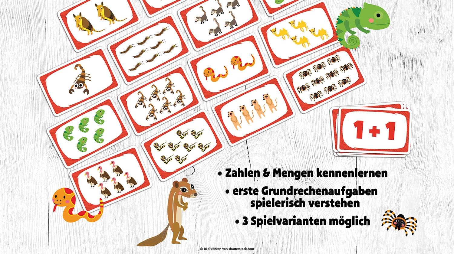 Abenteuer Schule - Zählvergnügen