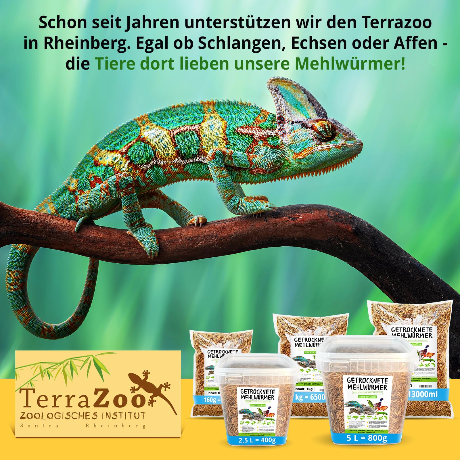 Meerbach & Rose Mehlwürmer getrocknet, 2kg (entspricht 13 Litern) getrocknete Mehlwürmer, proteinreicher Snack für Wildvögel, Fische, Reptilien und Nager (Packung mit 2)