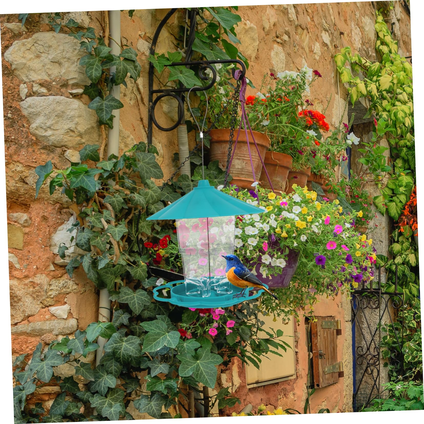 1pezzi Mangiatoia Per Uccelli Sospesa Materiale Alimentatore Esterno Leggero e Resistente Con Gancio Per Appenderlo Design Per Attirare Uccelli Nel Giardino