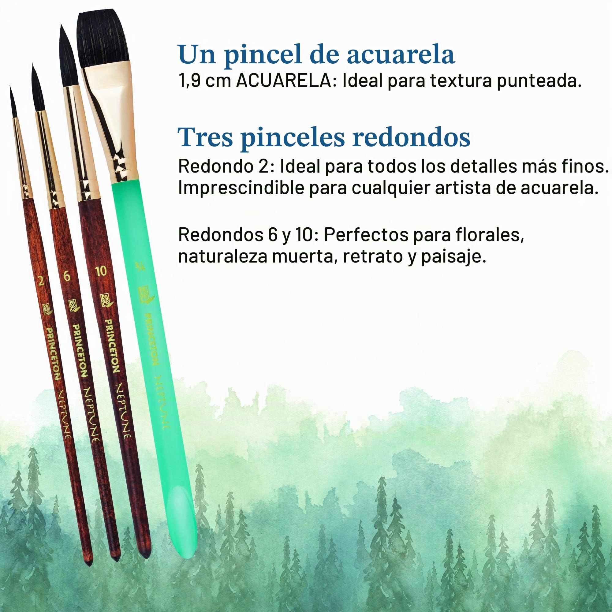 Princeton Neptune - Pinceles profesionales para acuarela, serie 4750, juego de 4 pinceles sintéticos suaves de ardilla para pintura de acuarela, acuarela de 3/4 pulgadas, redondo 2, redondo 6, redondo