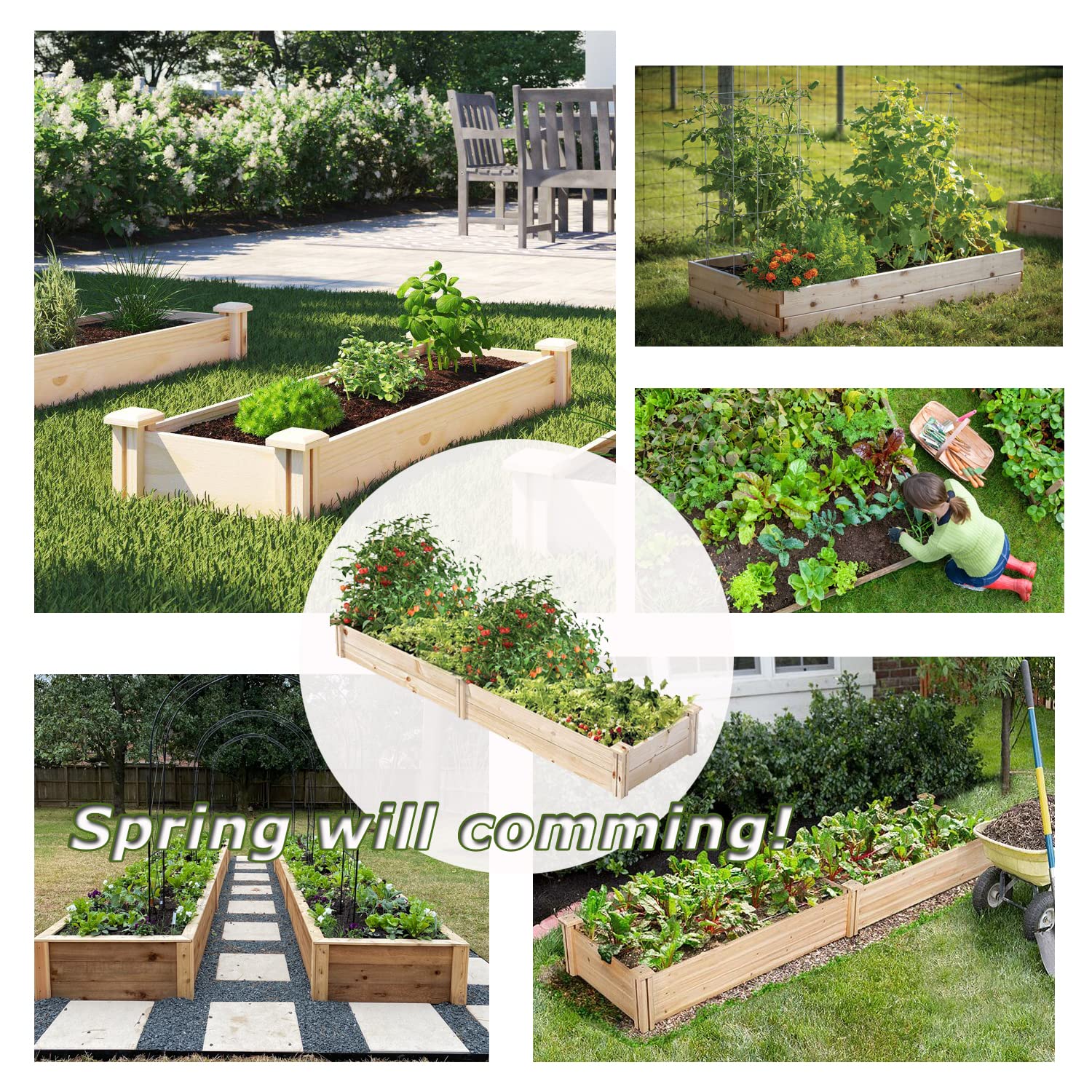 Planter Boxes Outdoor 8ft X 2ft Wooden Raised Garden Bed Planter Box